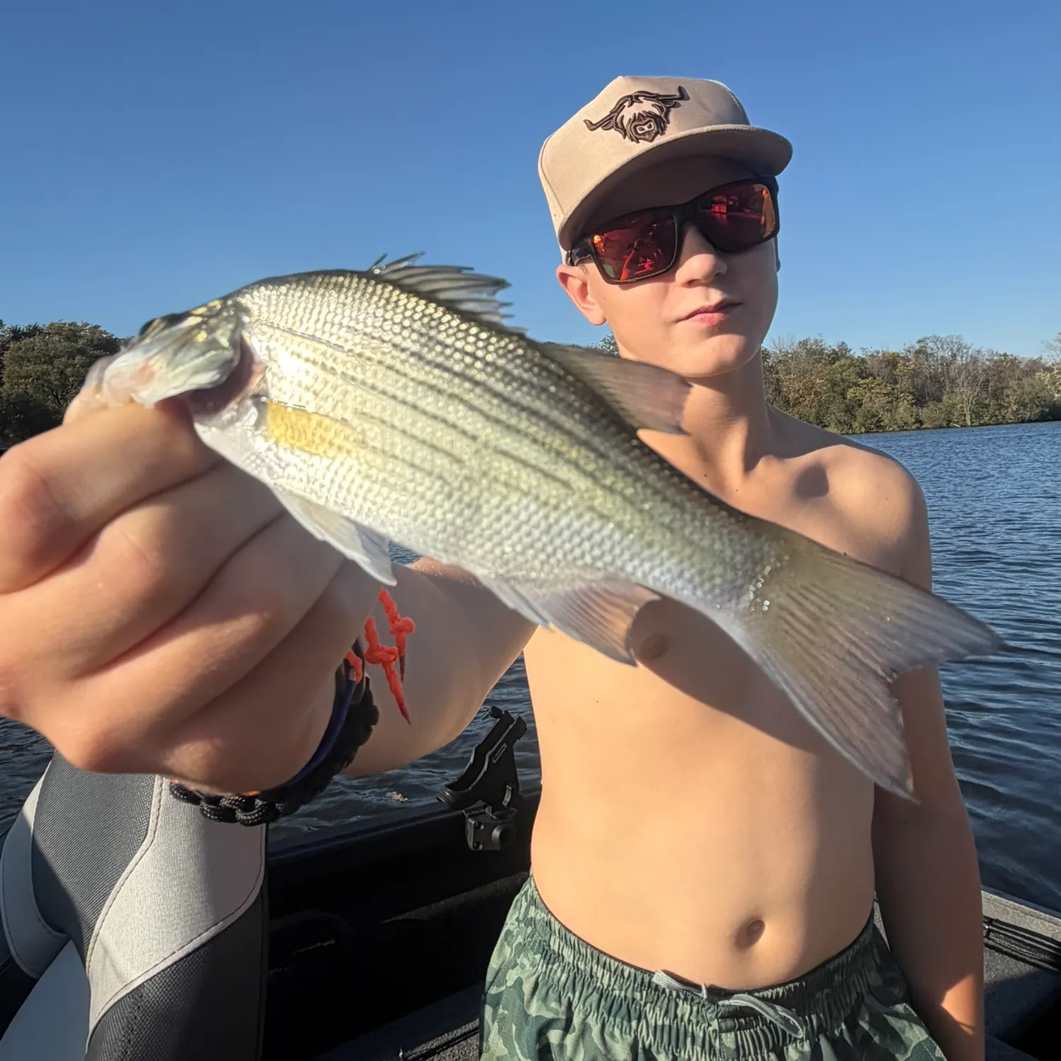 White bass caught on Fishbrain