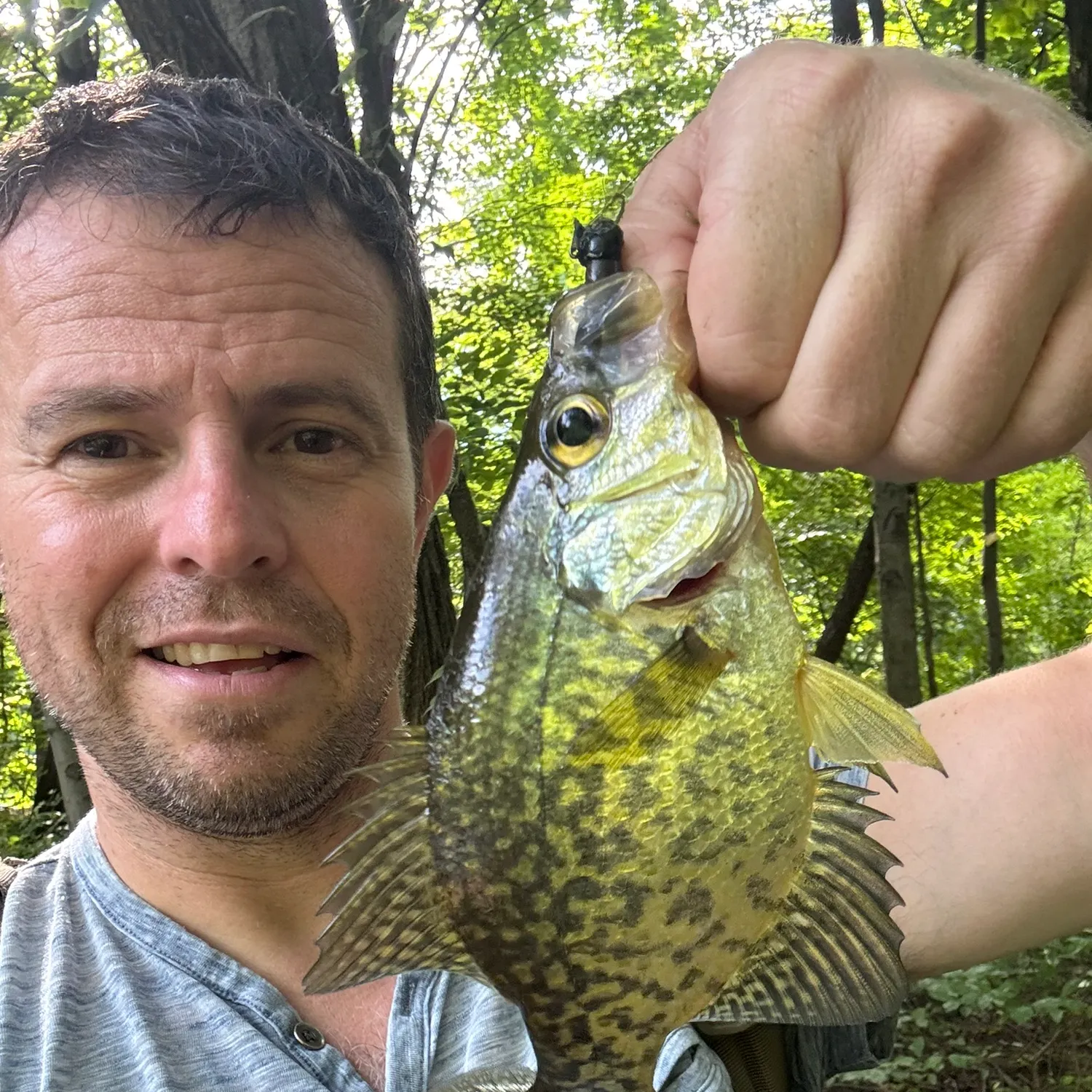Black crappie caught on Fishbrain