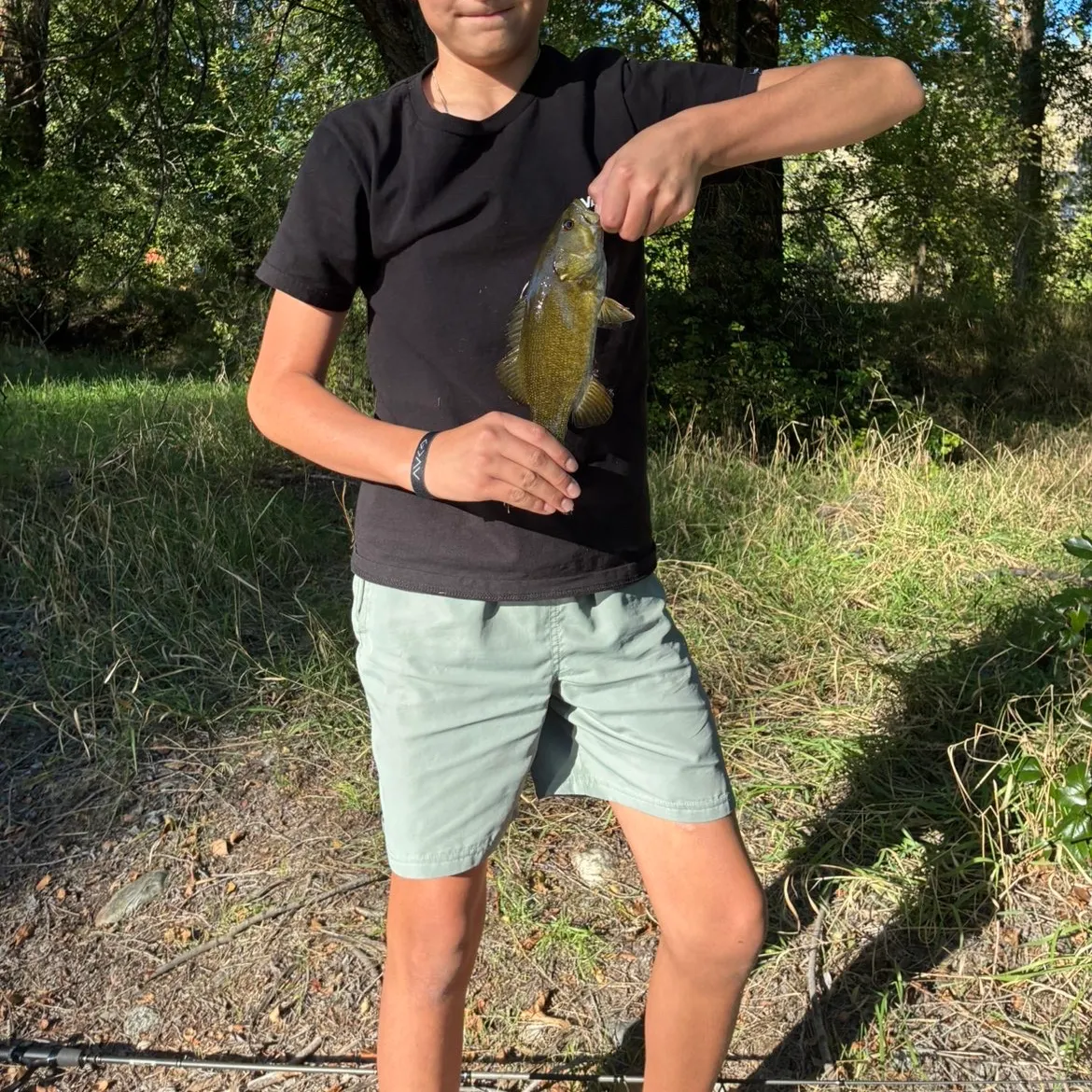 Smallmouth bass caught on Fishbrain