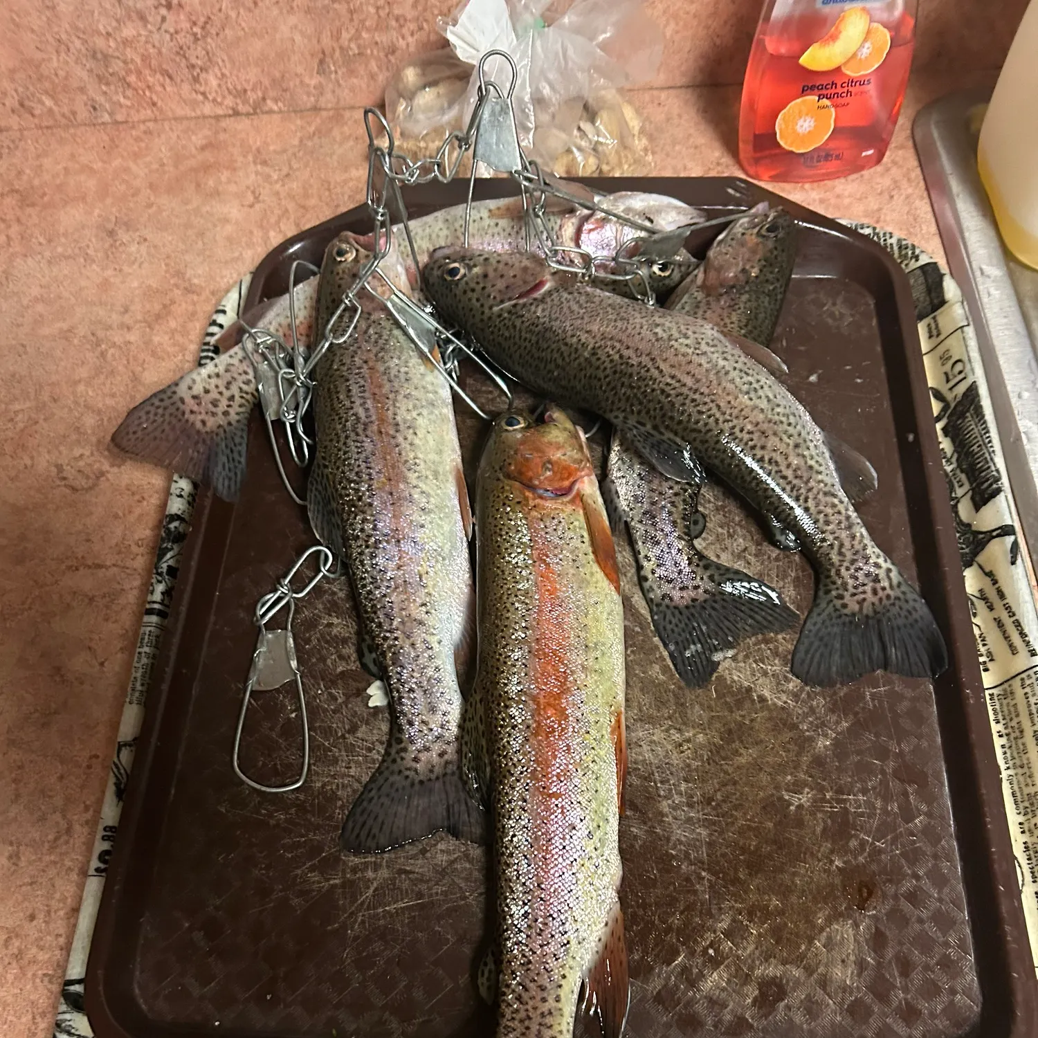 recently logged catches