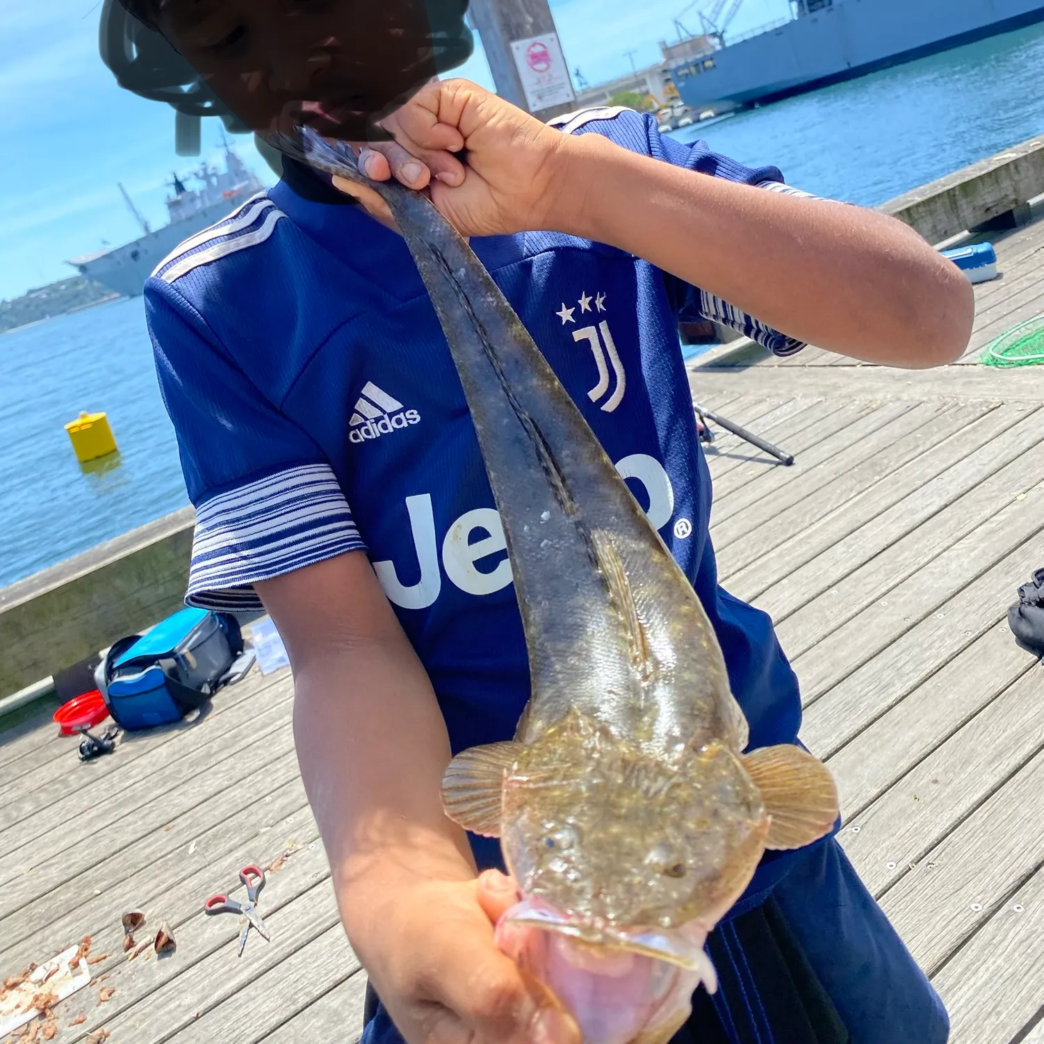 The most recent Dusky flathead catches on Fishbrain