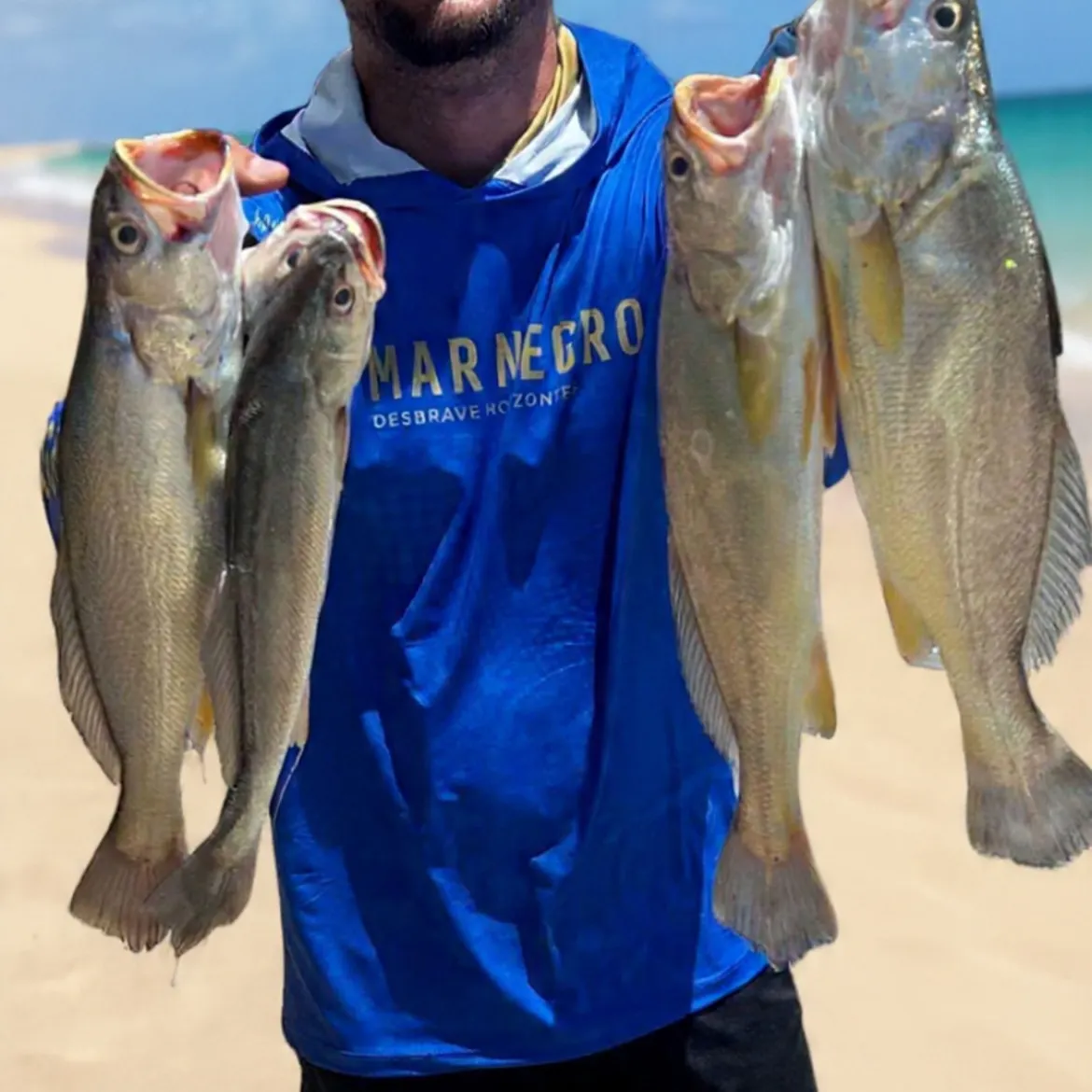 The most recent Gray weakfish catches on Fishbrain