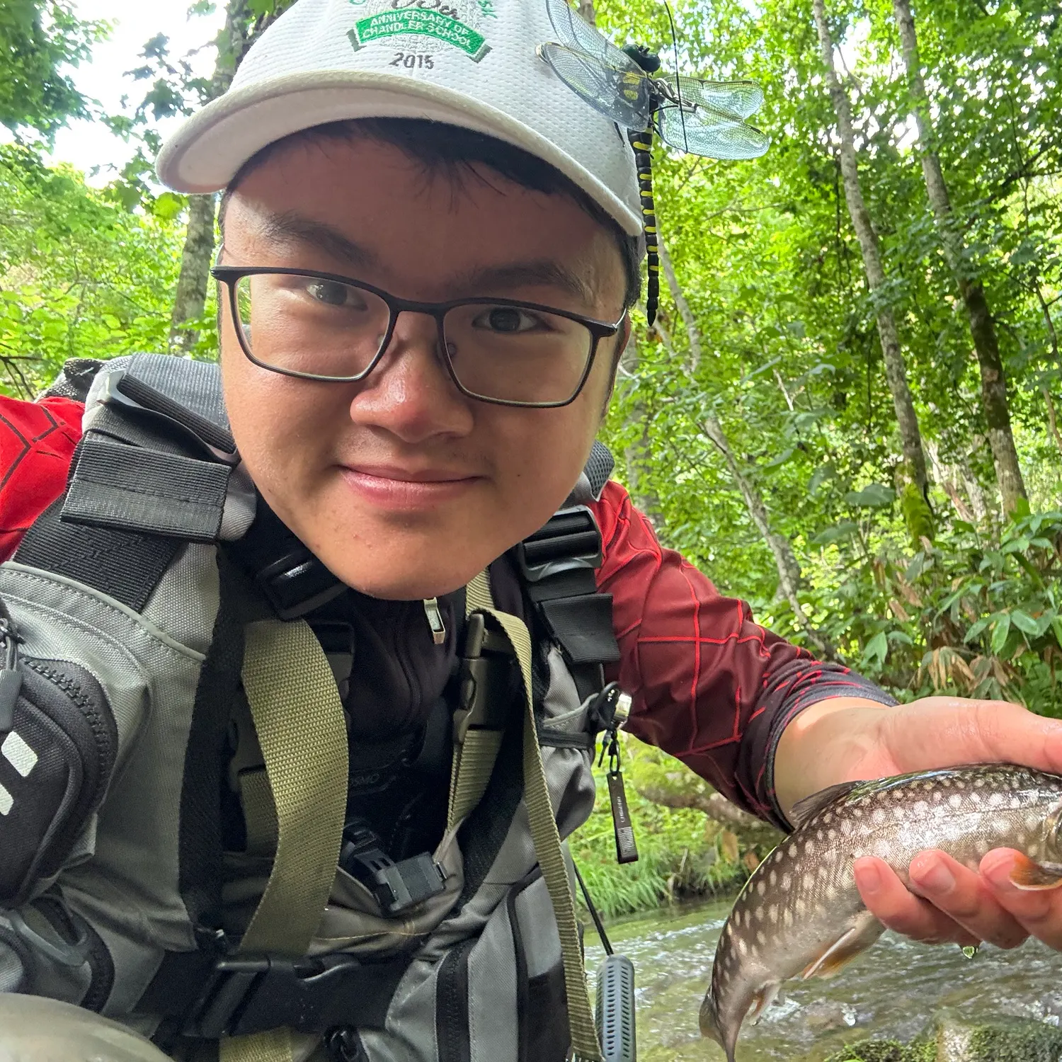 The most recent Whitespotted char catches on Fishbrain