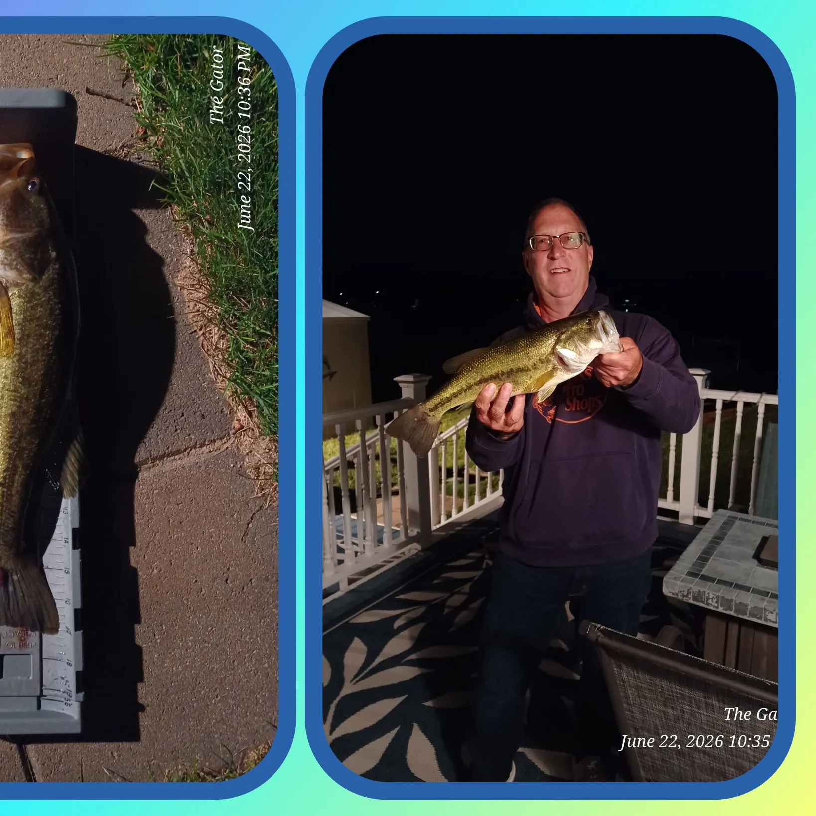 recently logged catches