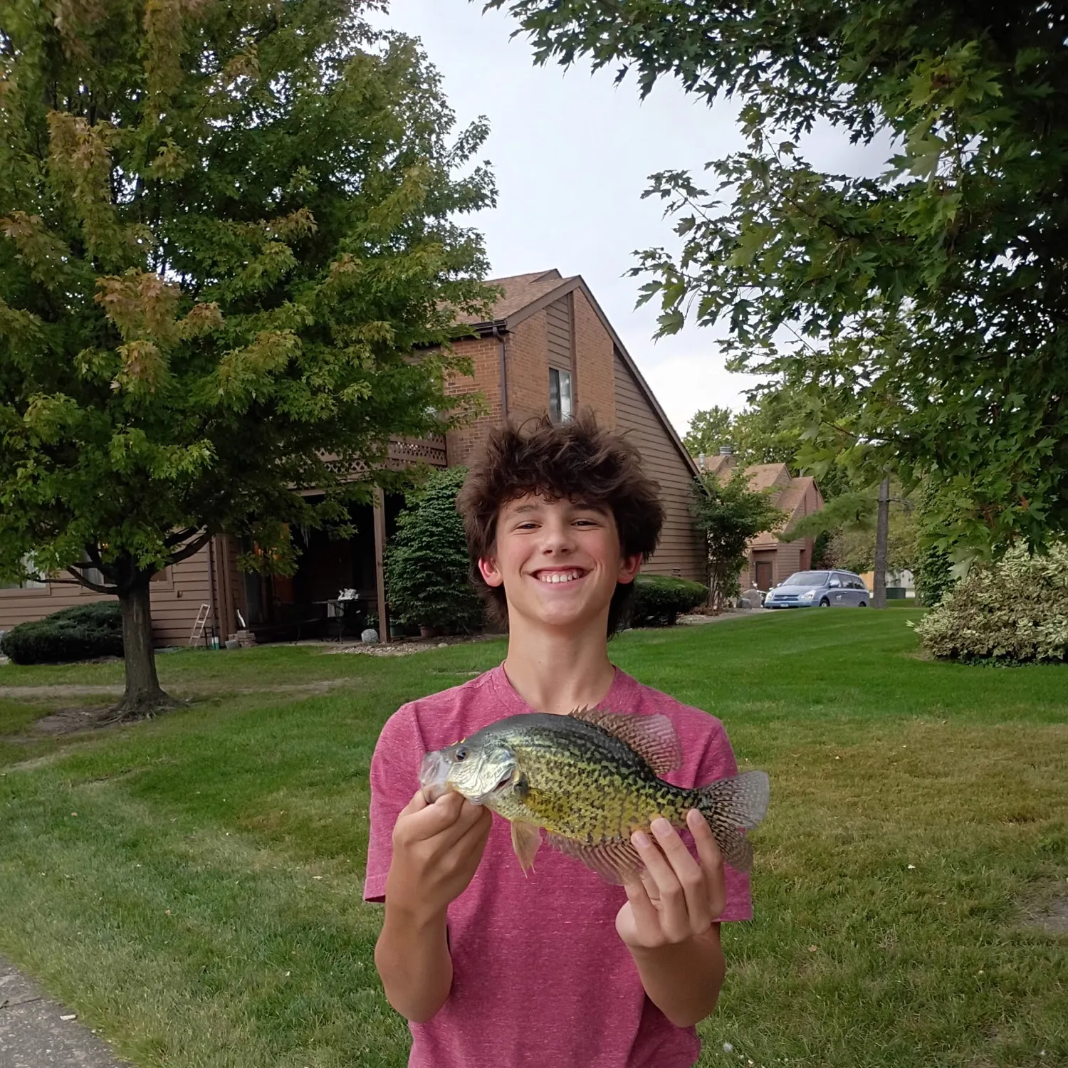 Black crappie caught on Fishbrain