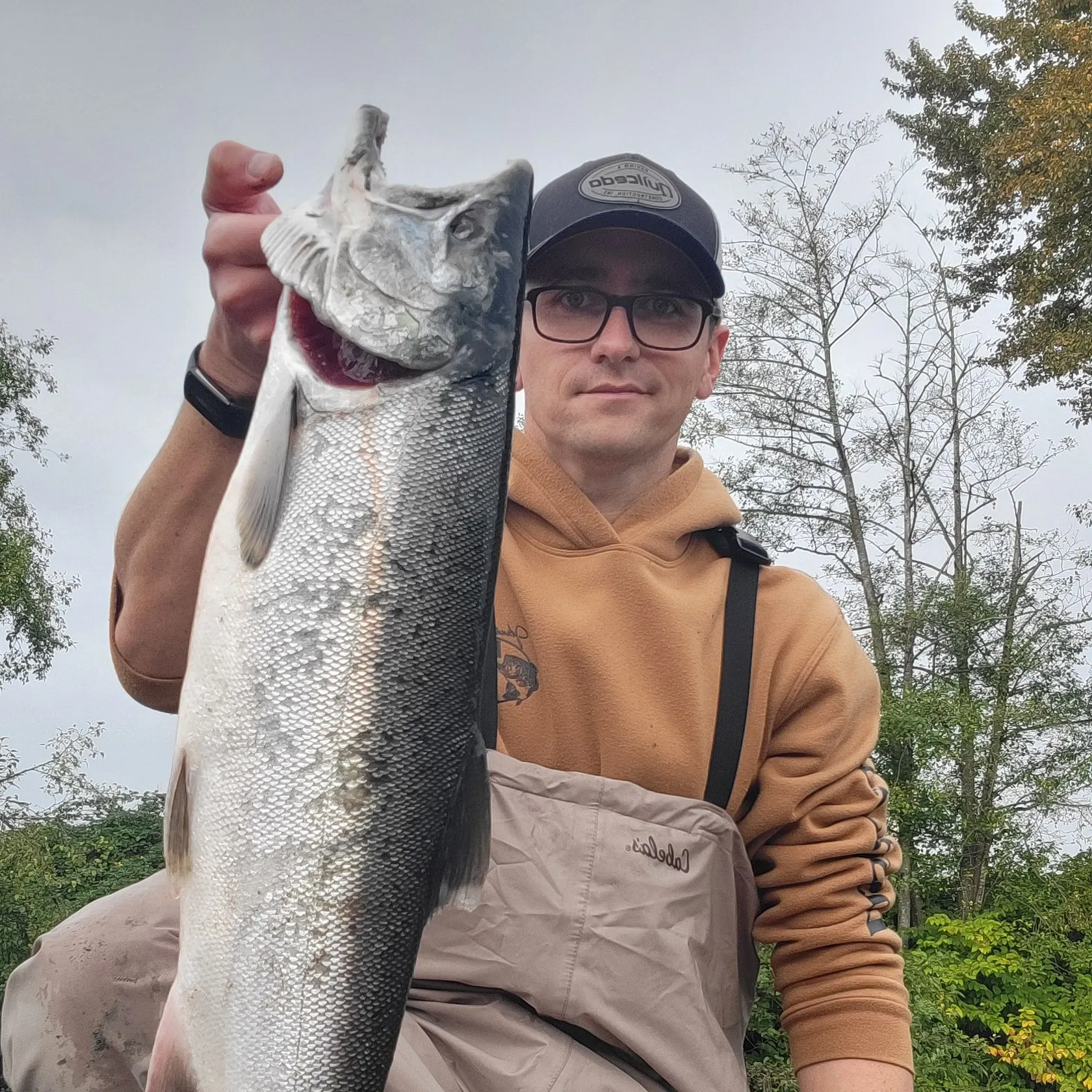 Coho salmon caught on Fishbrain