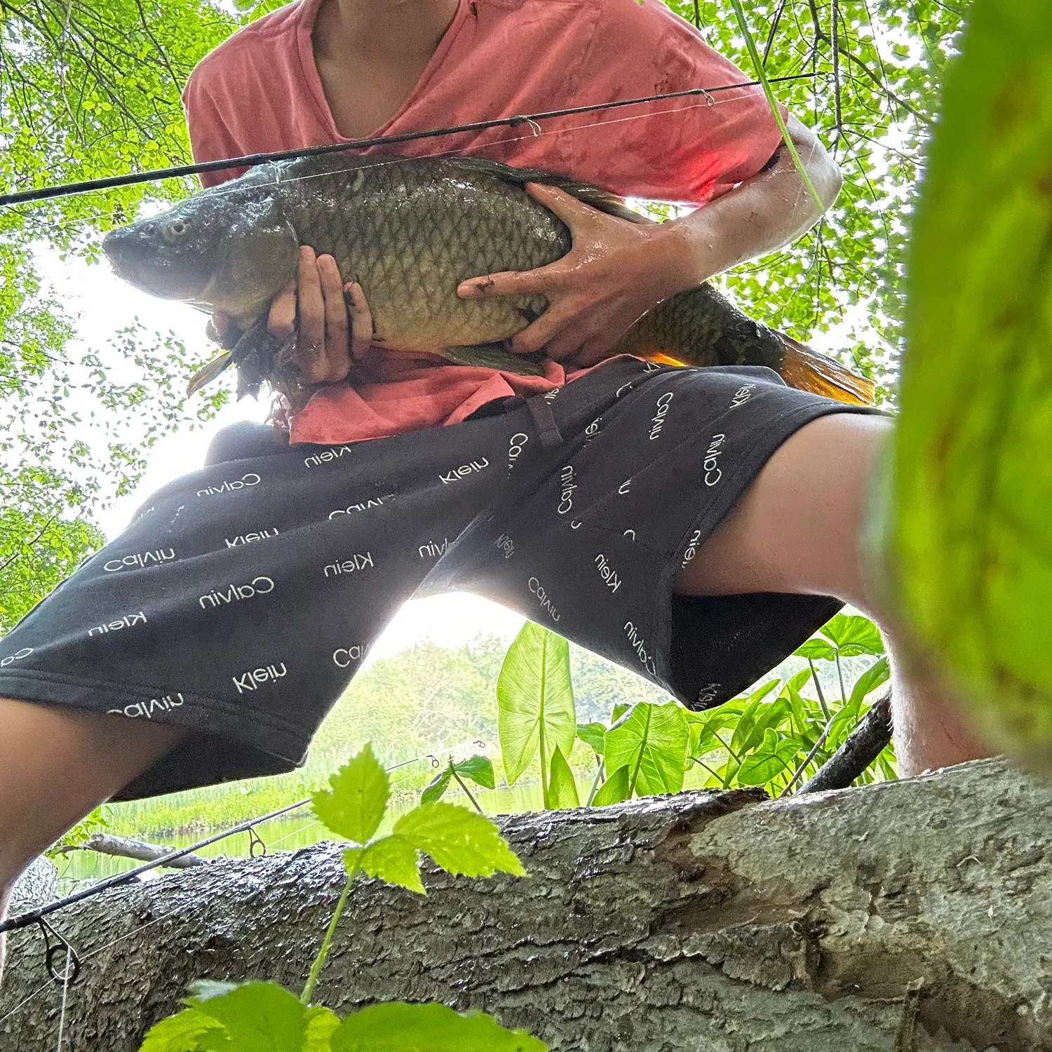 angler catch