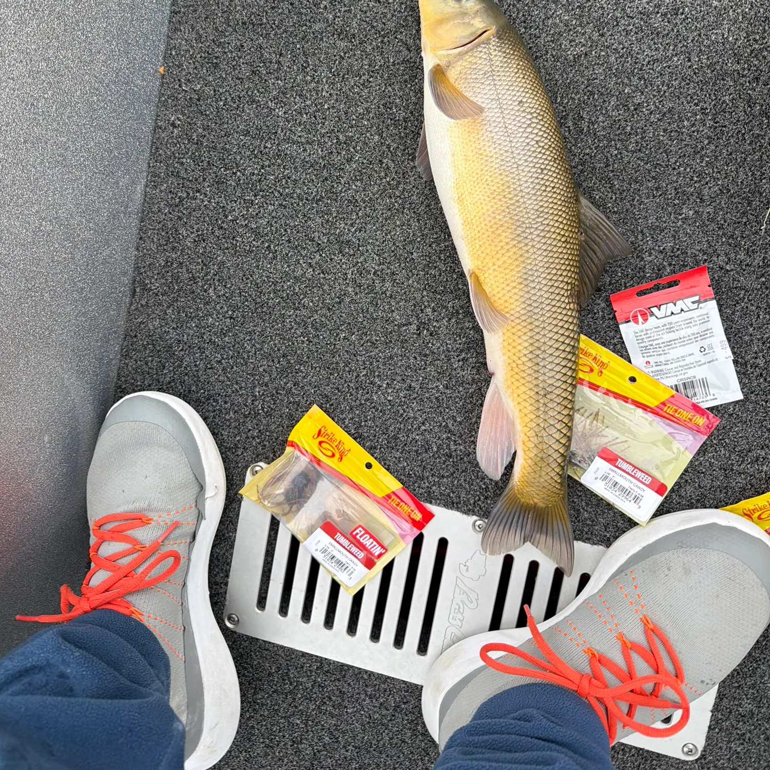 The most recent Sacramento sucker catches on Fishbrain