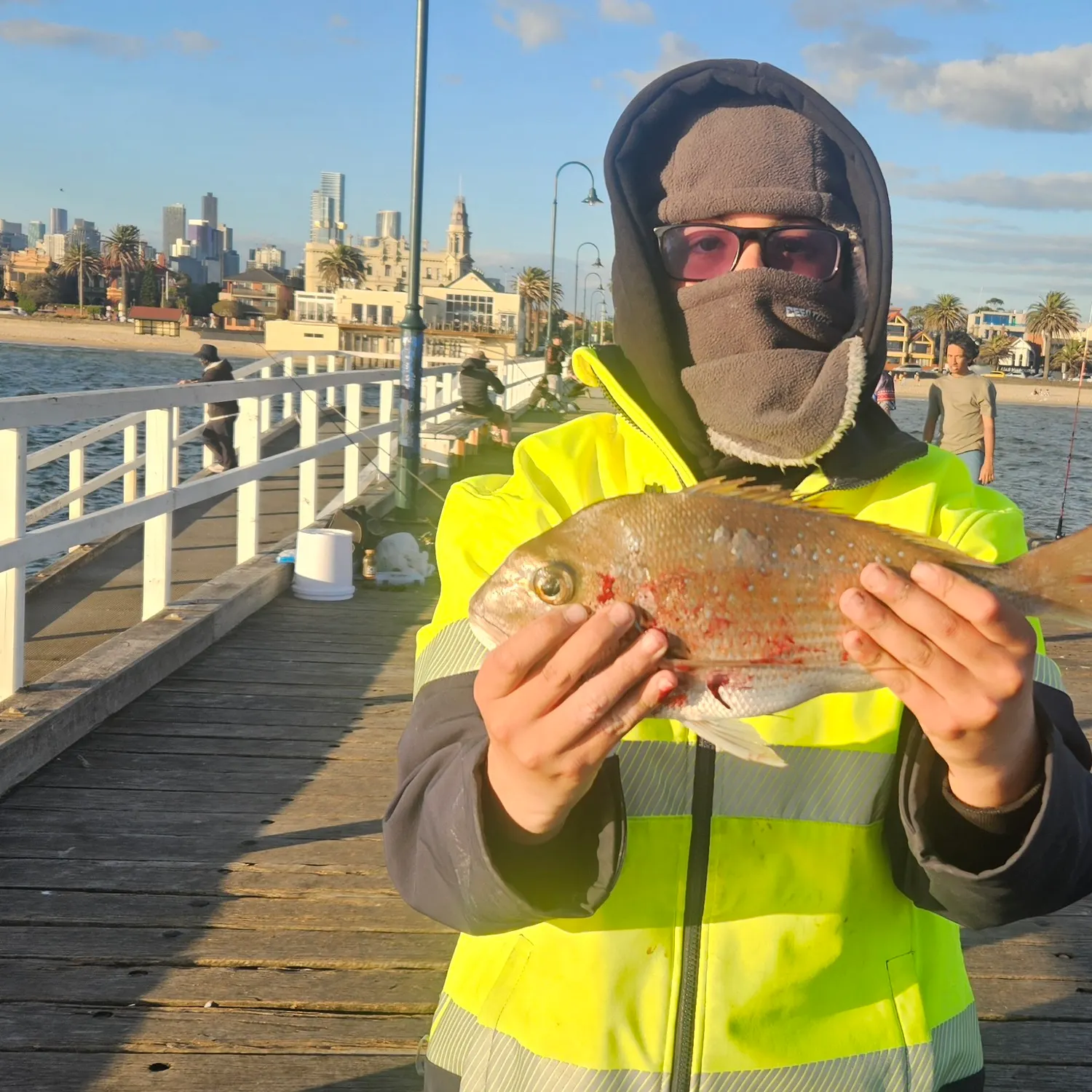 Australasian snapper caught on Fishbrain