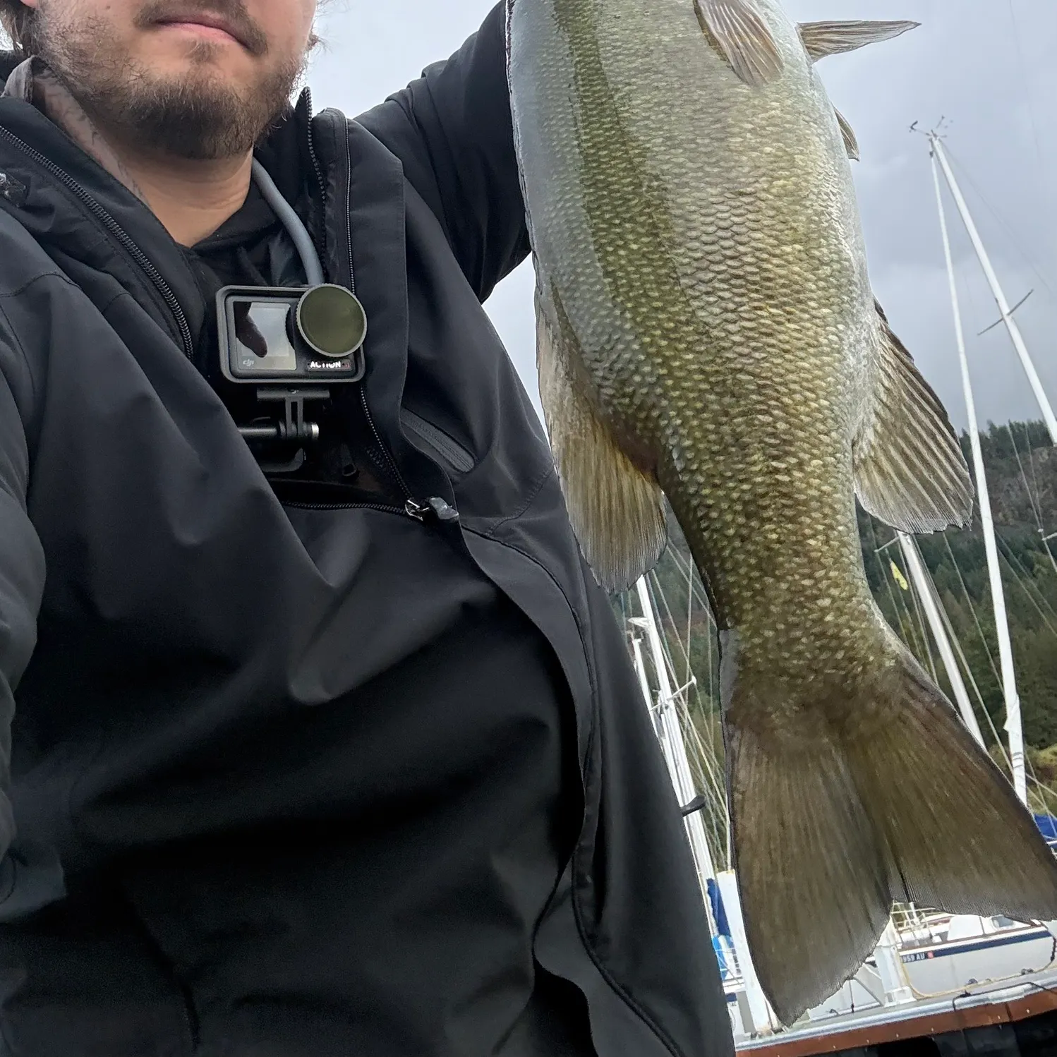 Smallmouth bass caught on Fishbrain