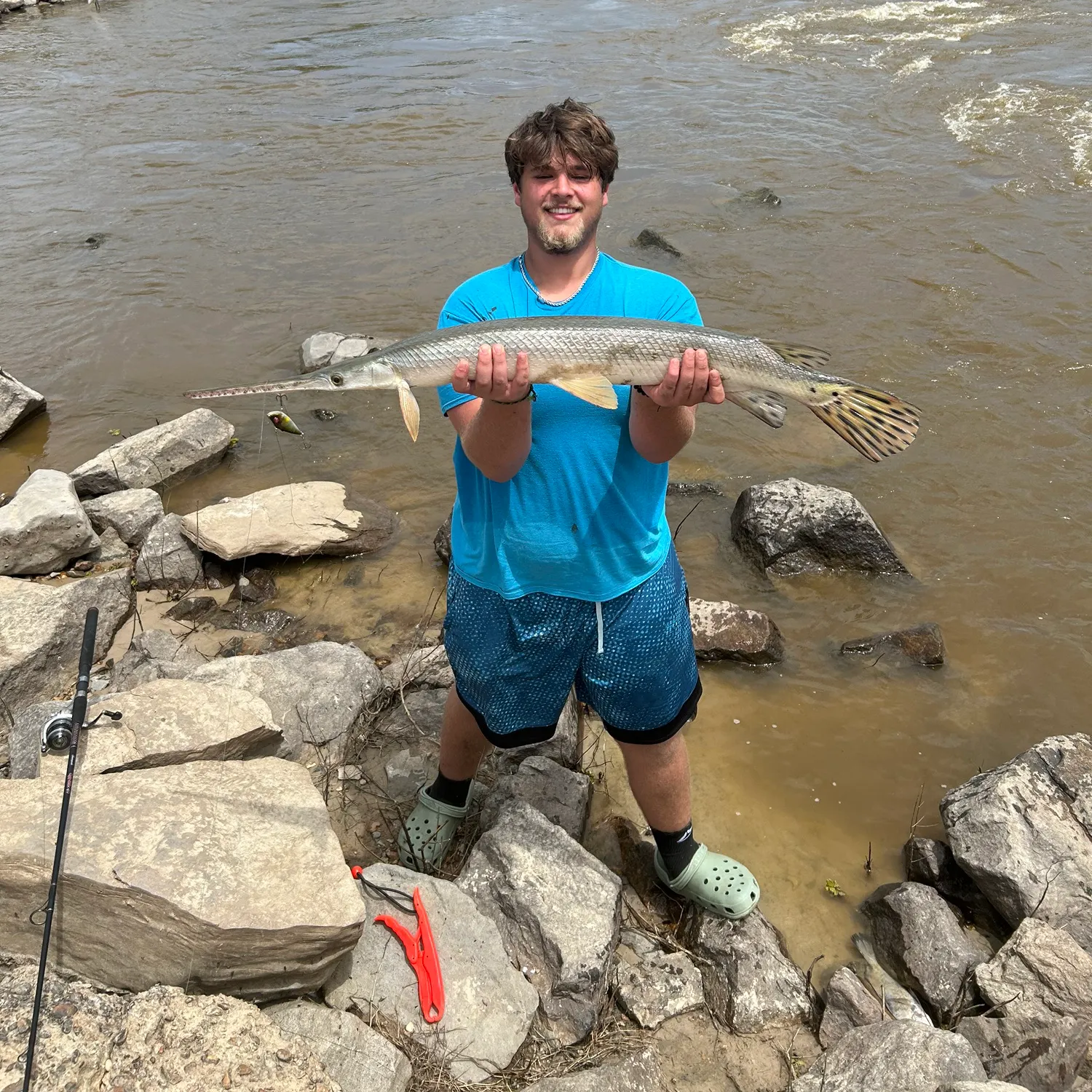 The most recent Longnose gar catches on Fishbrain