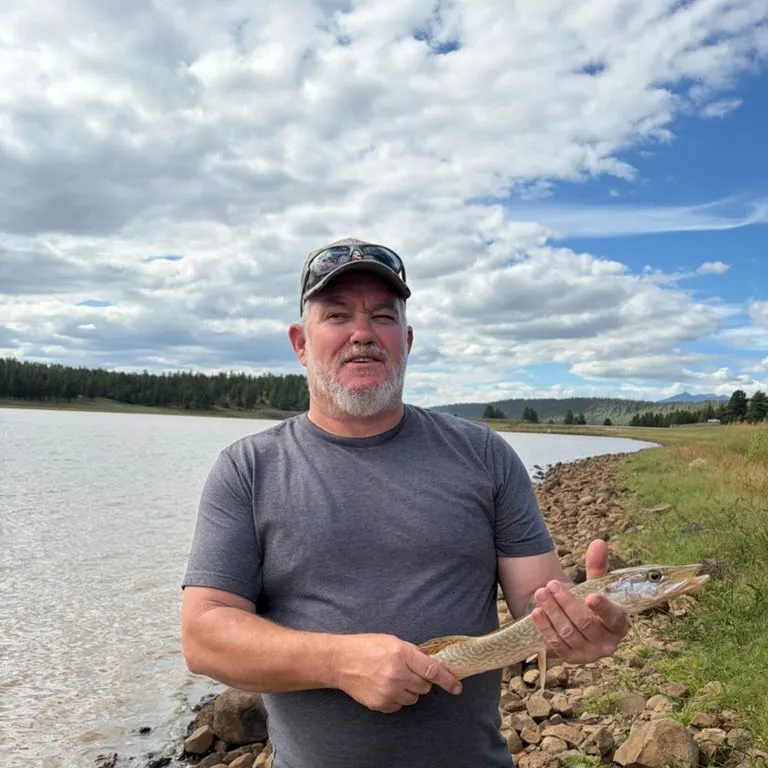 Northern pike caught on Fishbrain