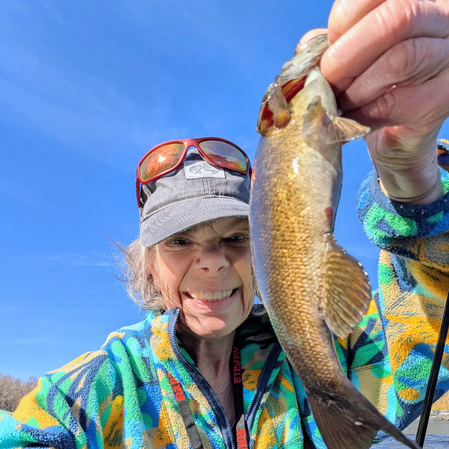 Smallmouth bass caught on Fishbrain