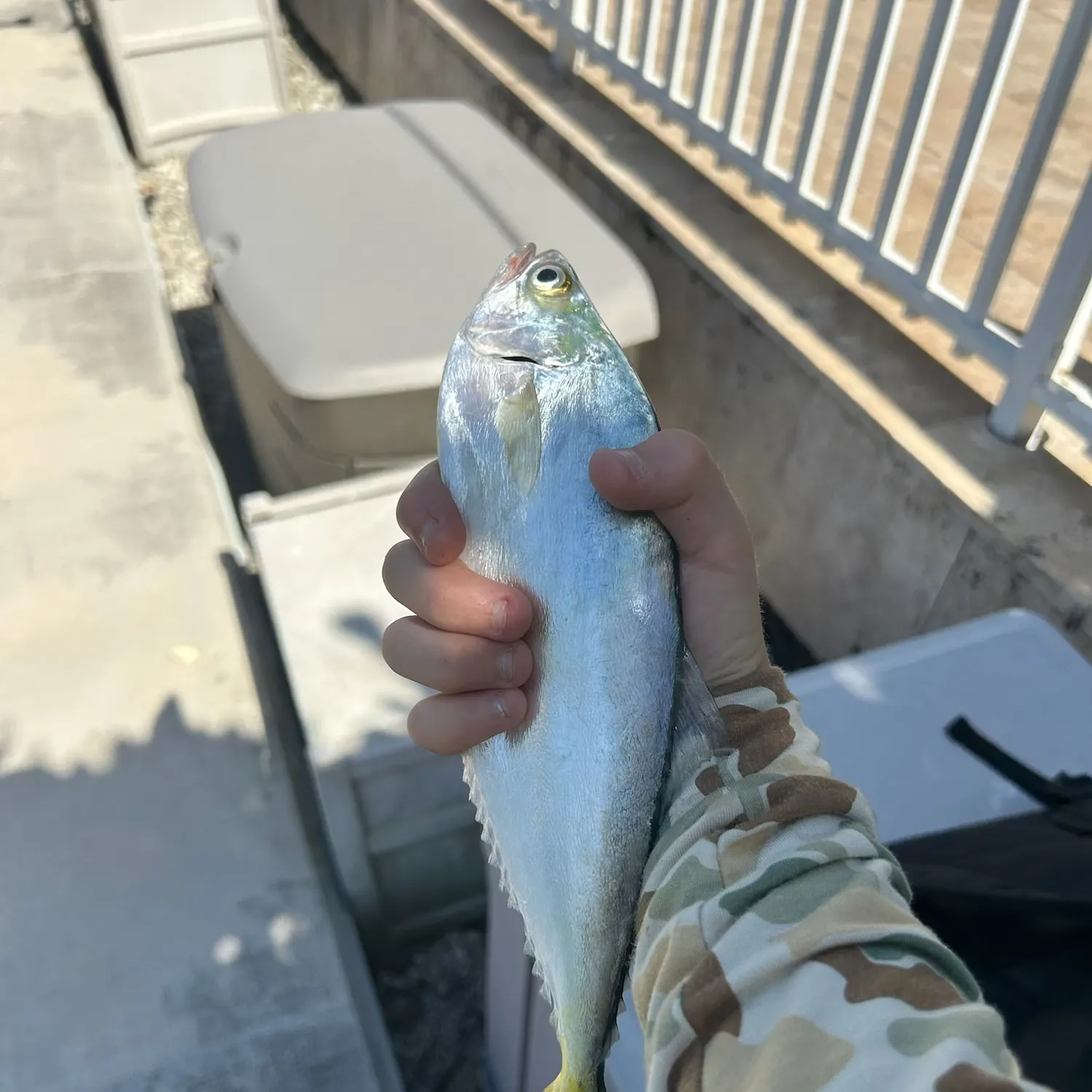 most liked catch image