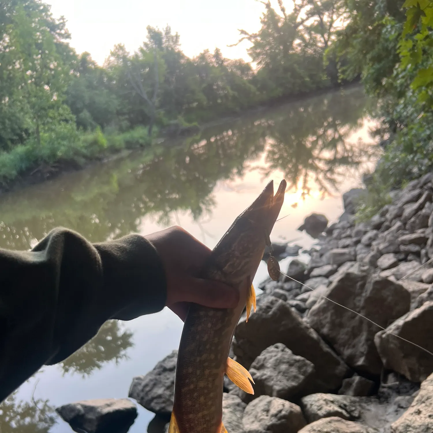 catch