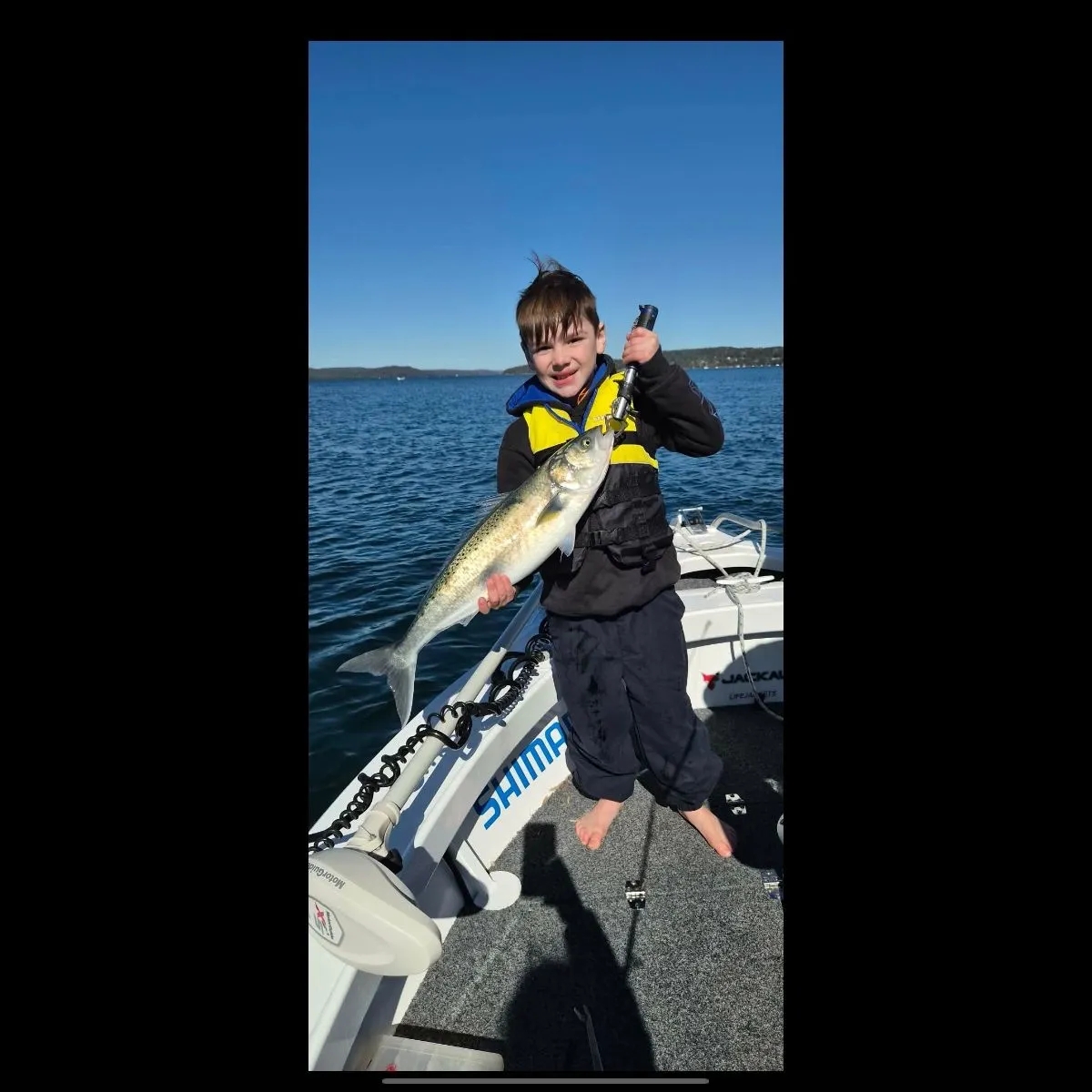 Bluefish caught on Fishbrain