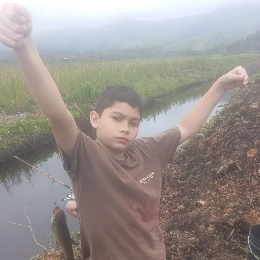 The most recent Trahira catches on Fishbrain