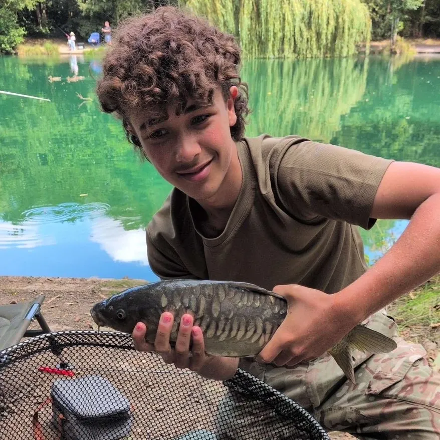 Mirror carp caught on Fishbrain