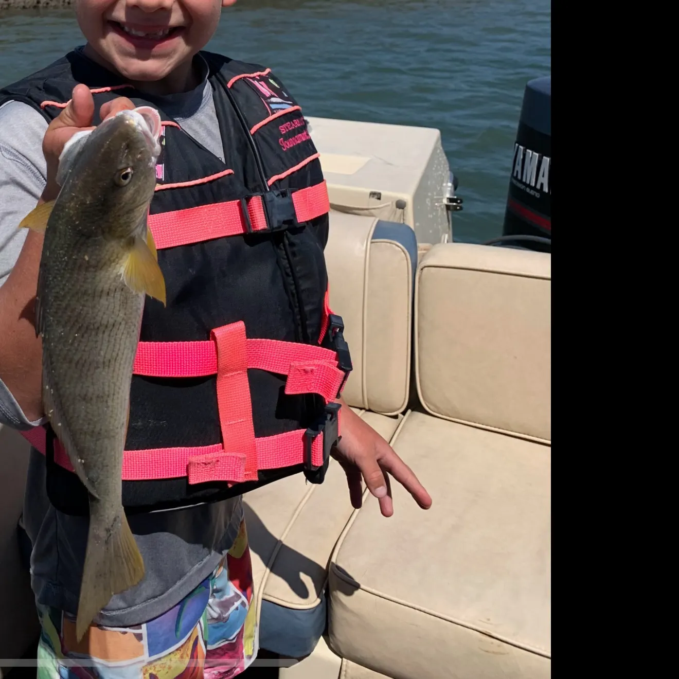 Yellowfin croaker caught on Fishbrain