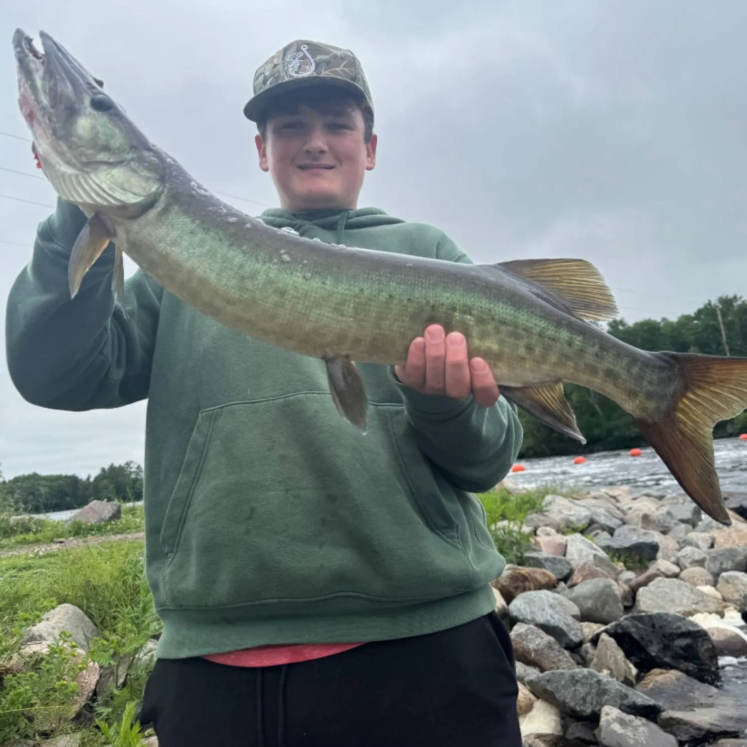 The most recent Muskellunge catches on Fishbrain