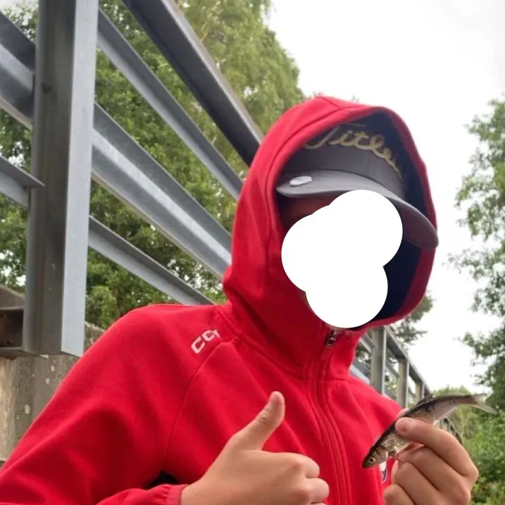 Common roach caught on Fishbrain