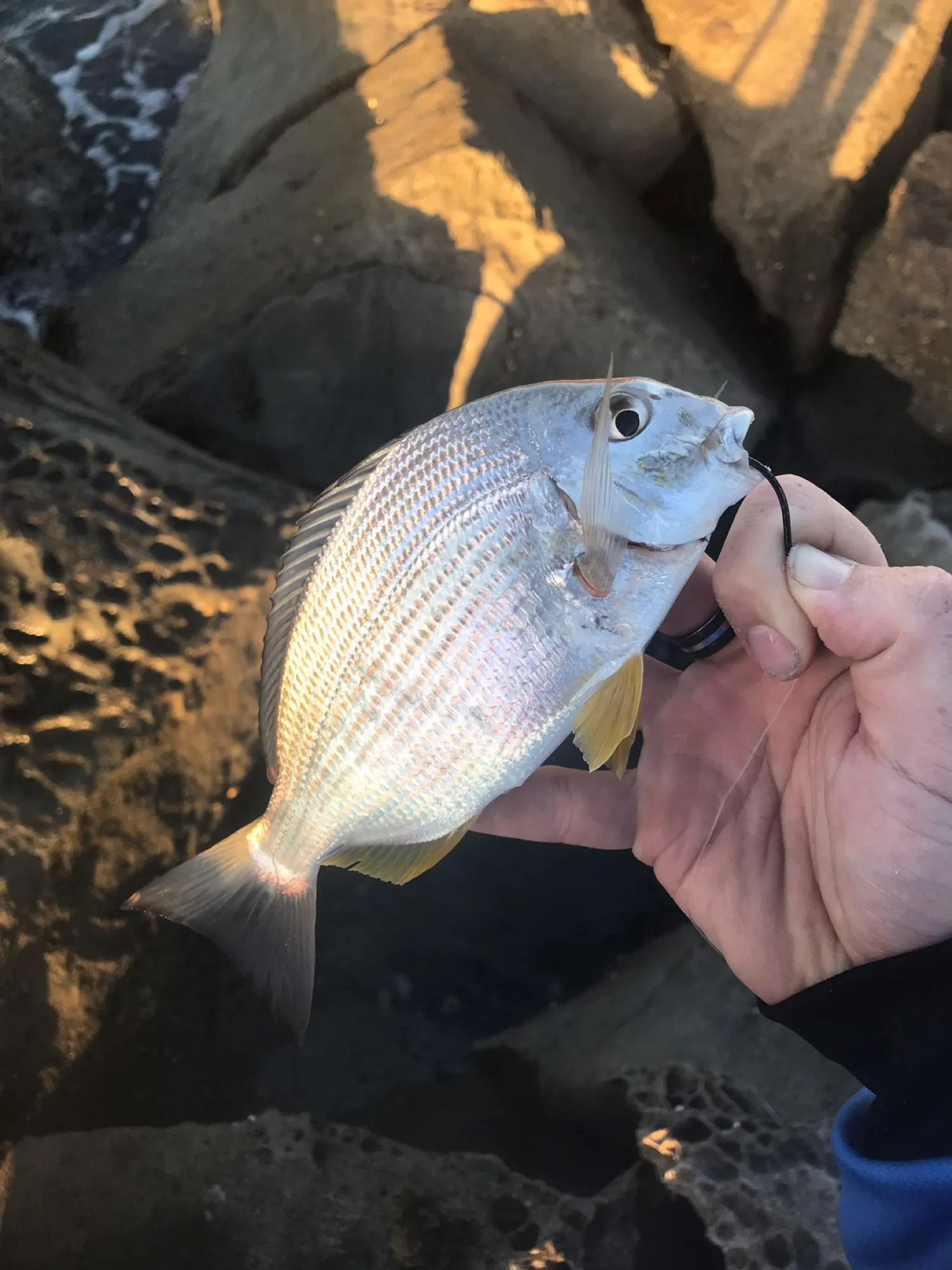 Post image from TimmyMason