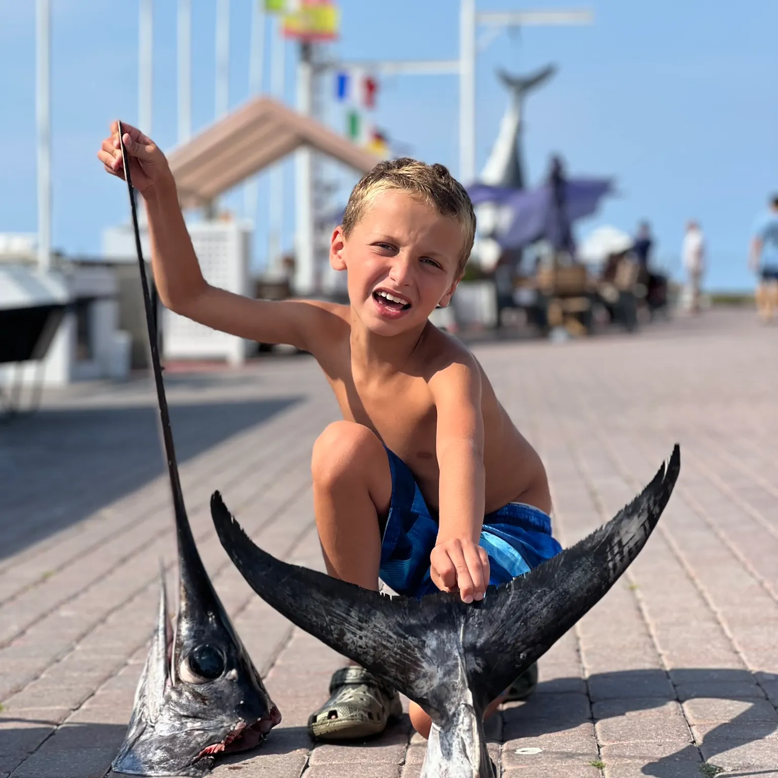 The most recent Swordfish catches on Fishbrain