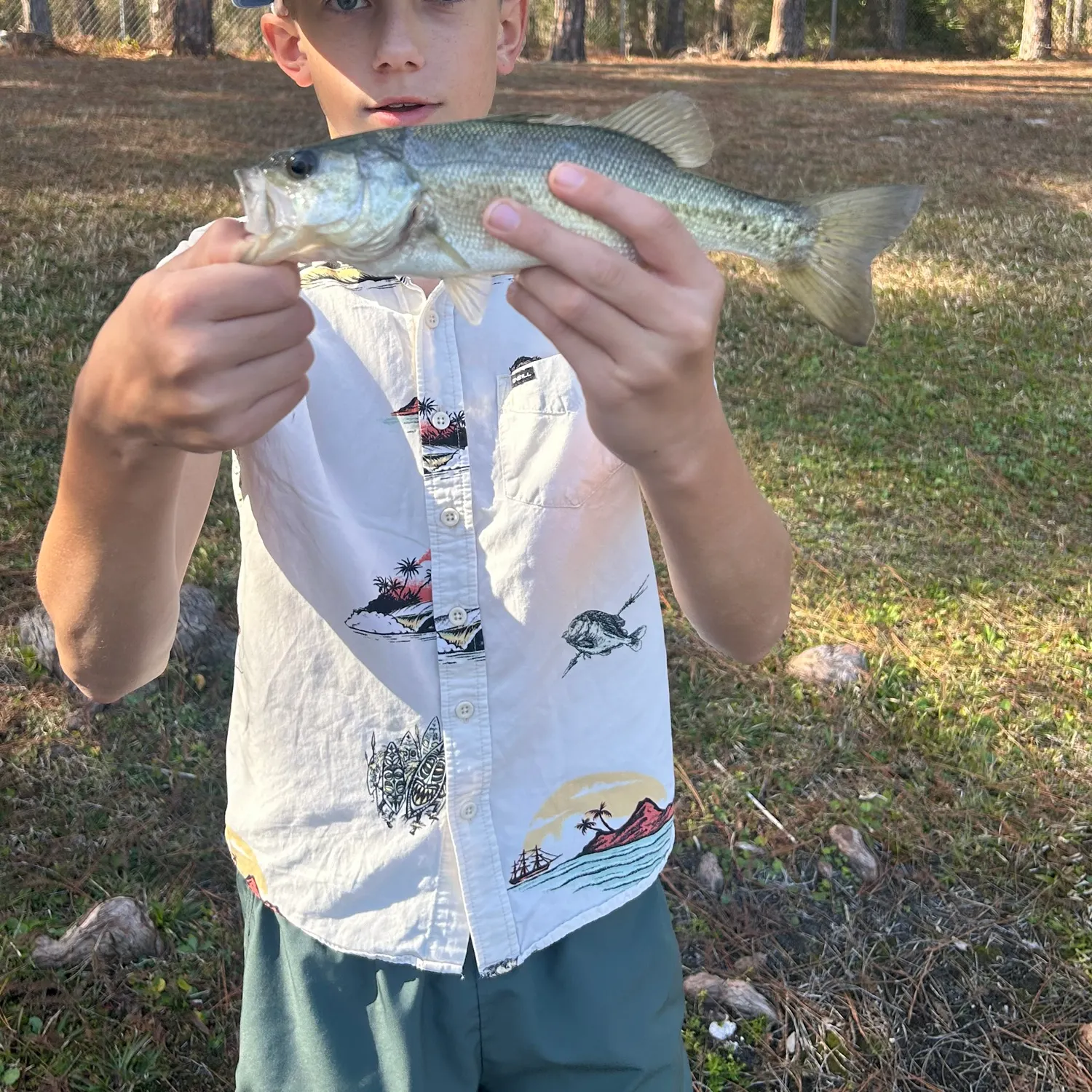 The most recent Black marlin catches on Fishbrain