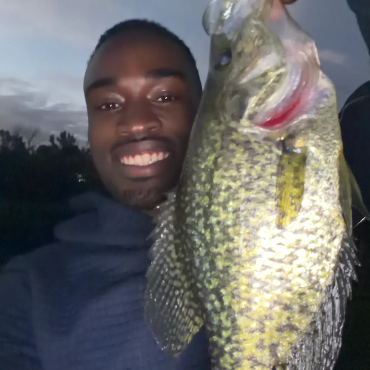 Black crappie caught on Fishbrain