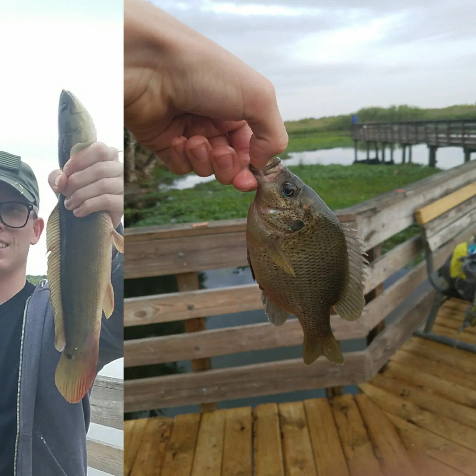 recently logged catches