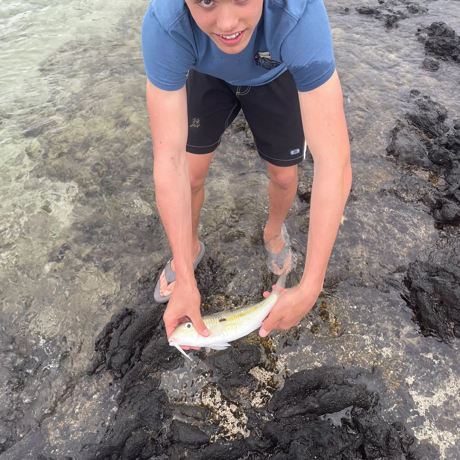 The most recent Sidespot goatfish catches on Fishbrain