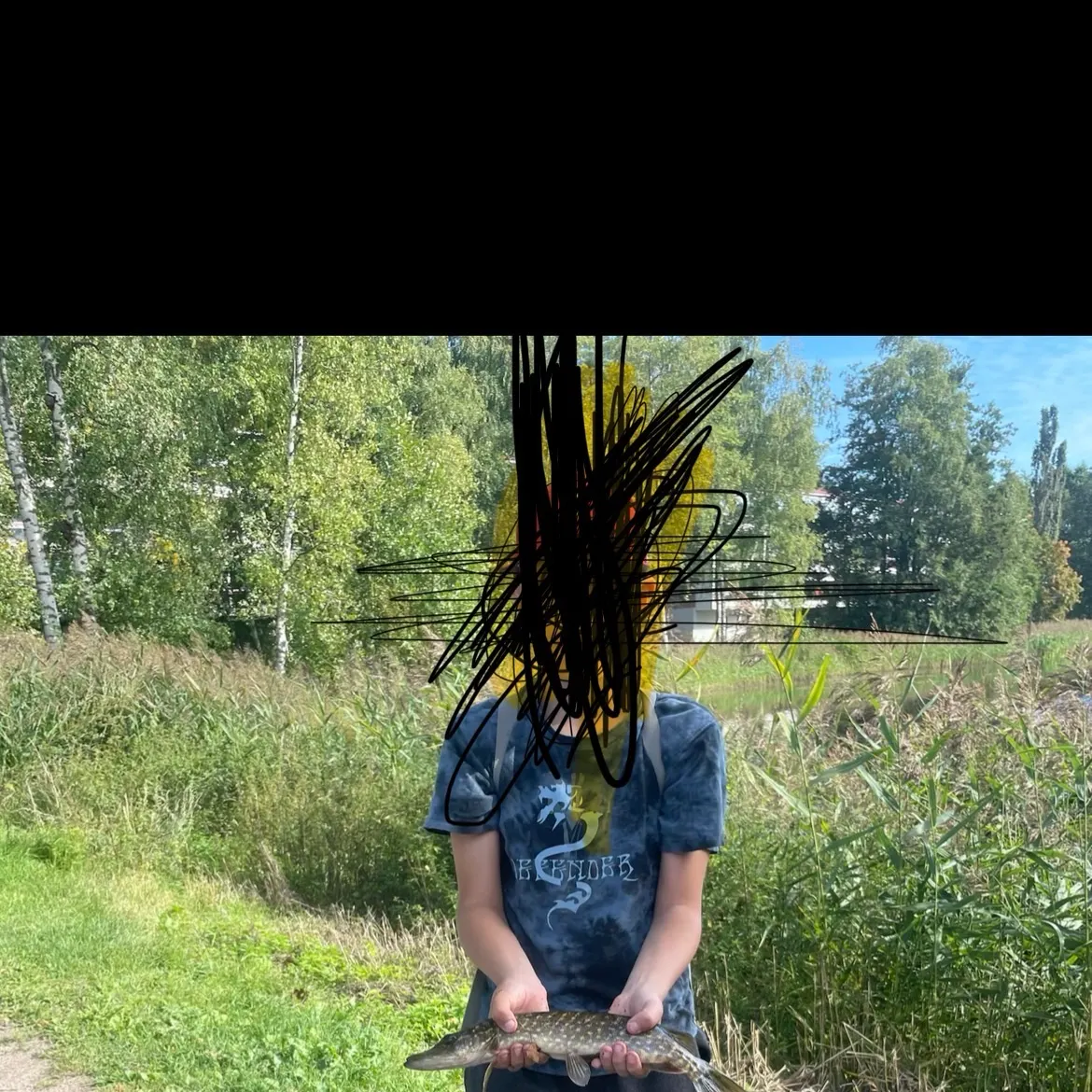 Northern pike caught on Fishbrain