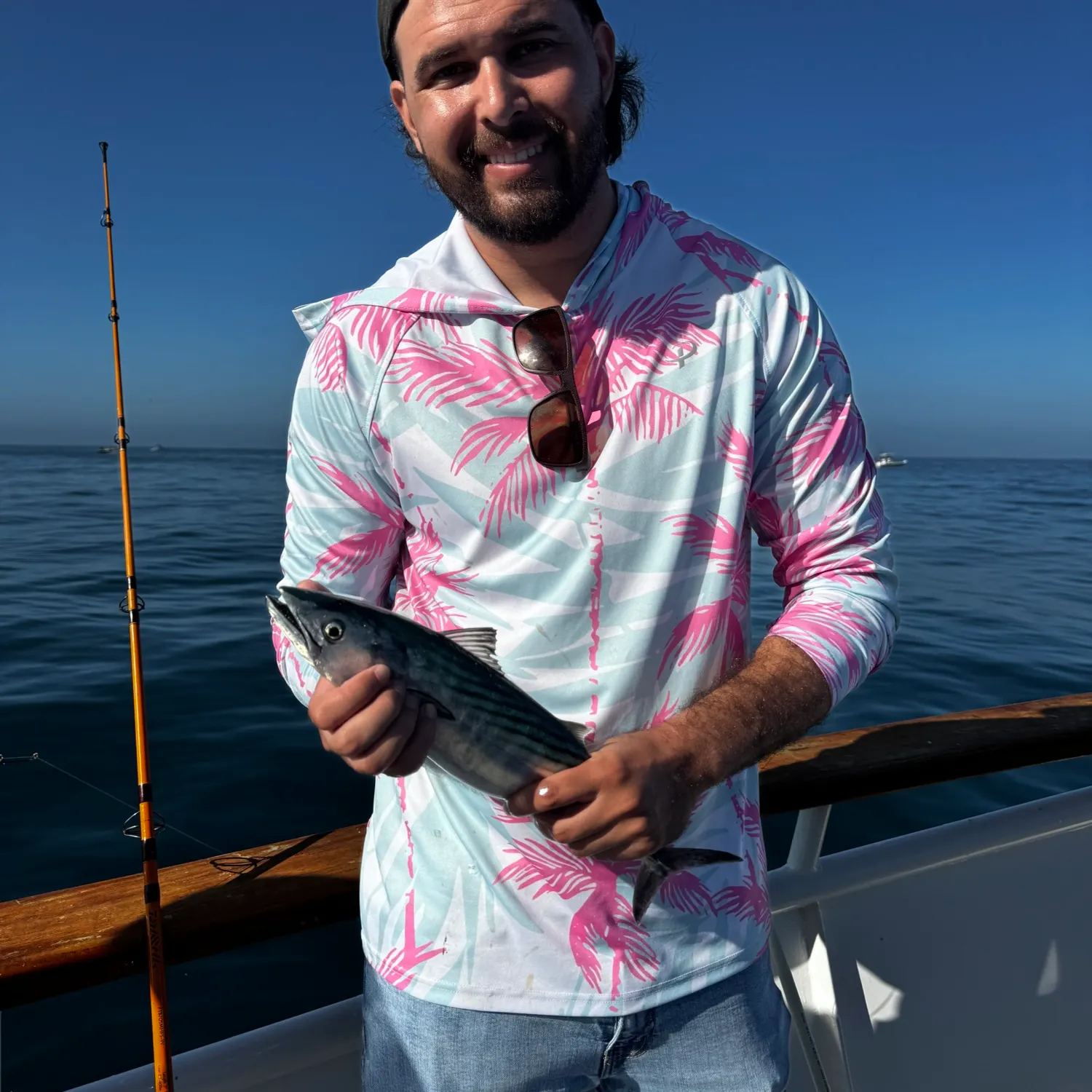 Pacific bonito caught on Fishbrain