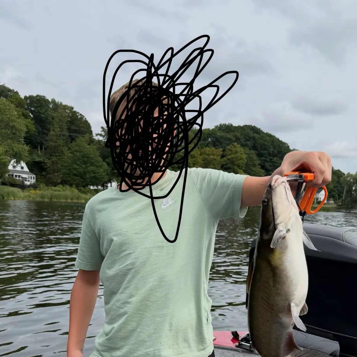Channel catfish caught on Fishbrain
