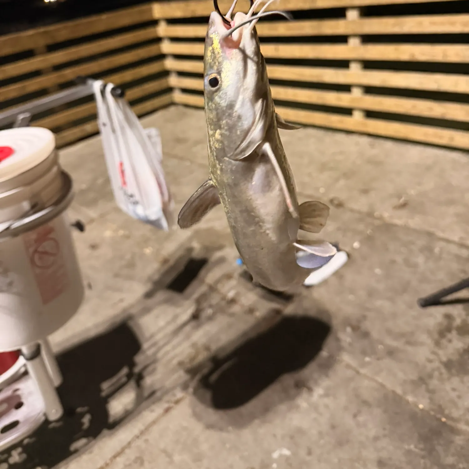 catch