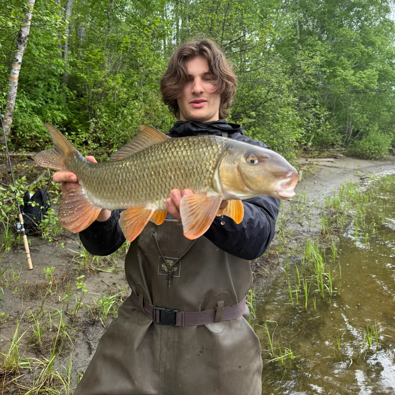 The most recent Greater redhorse catches on Fishbrain