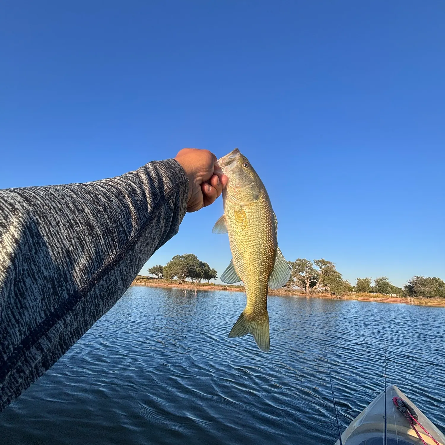 Fish caught on Fishbrain