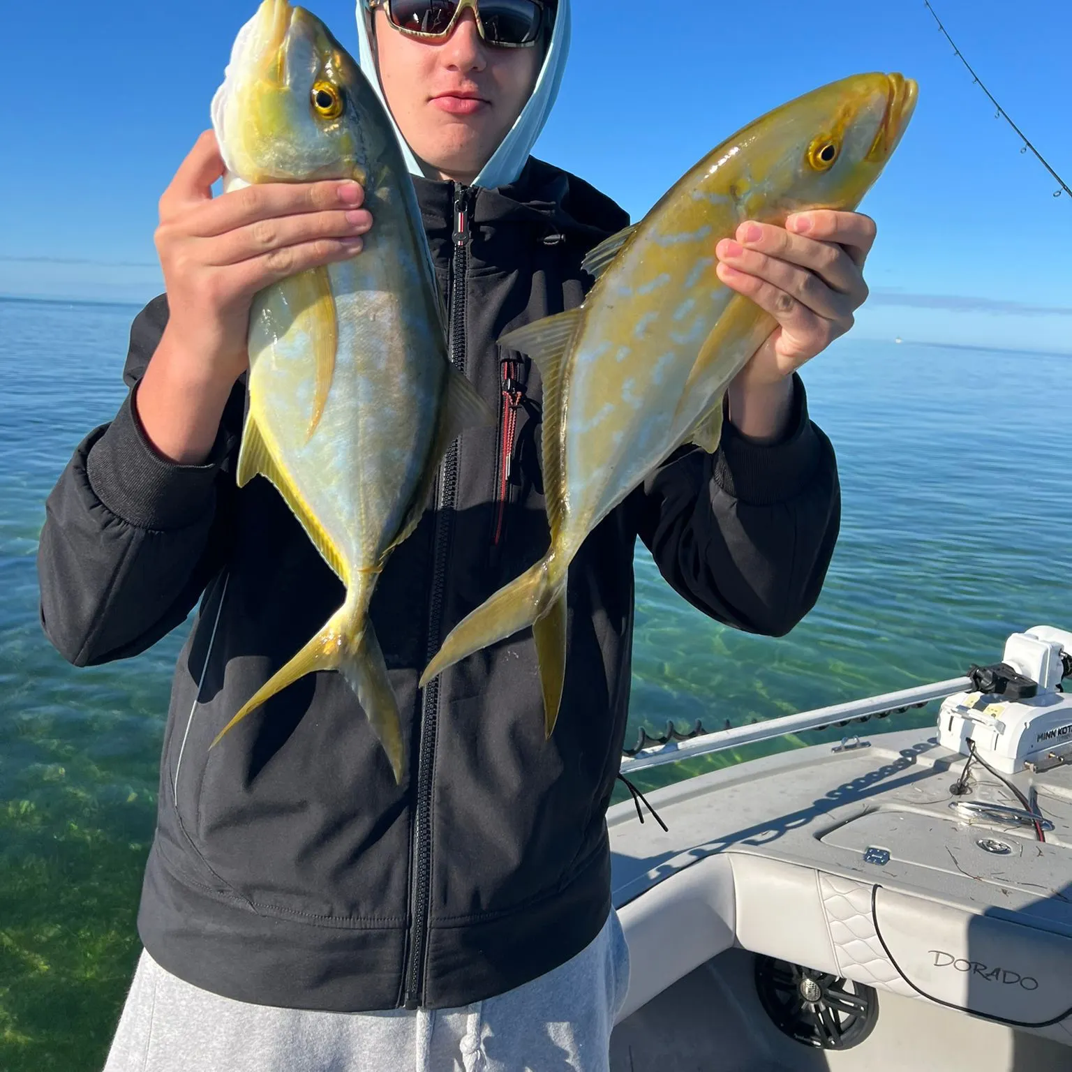 The most recent Yellow jack catches on Fishbrain