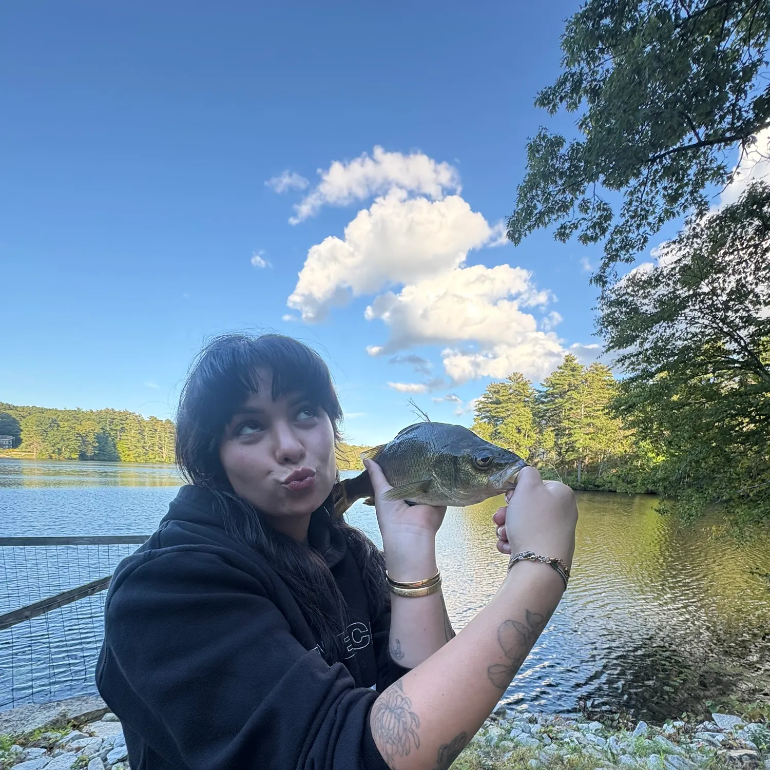 White perch caught on Fishbrain