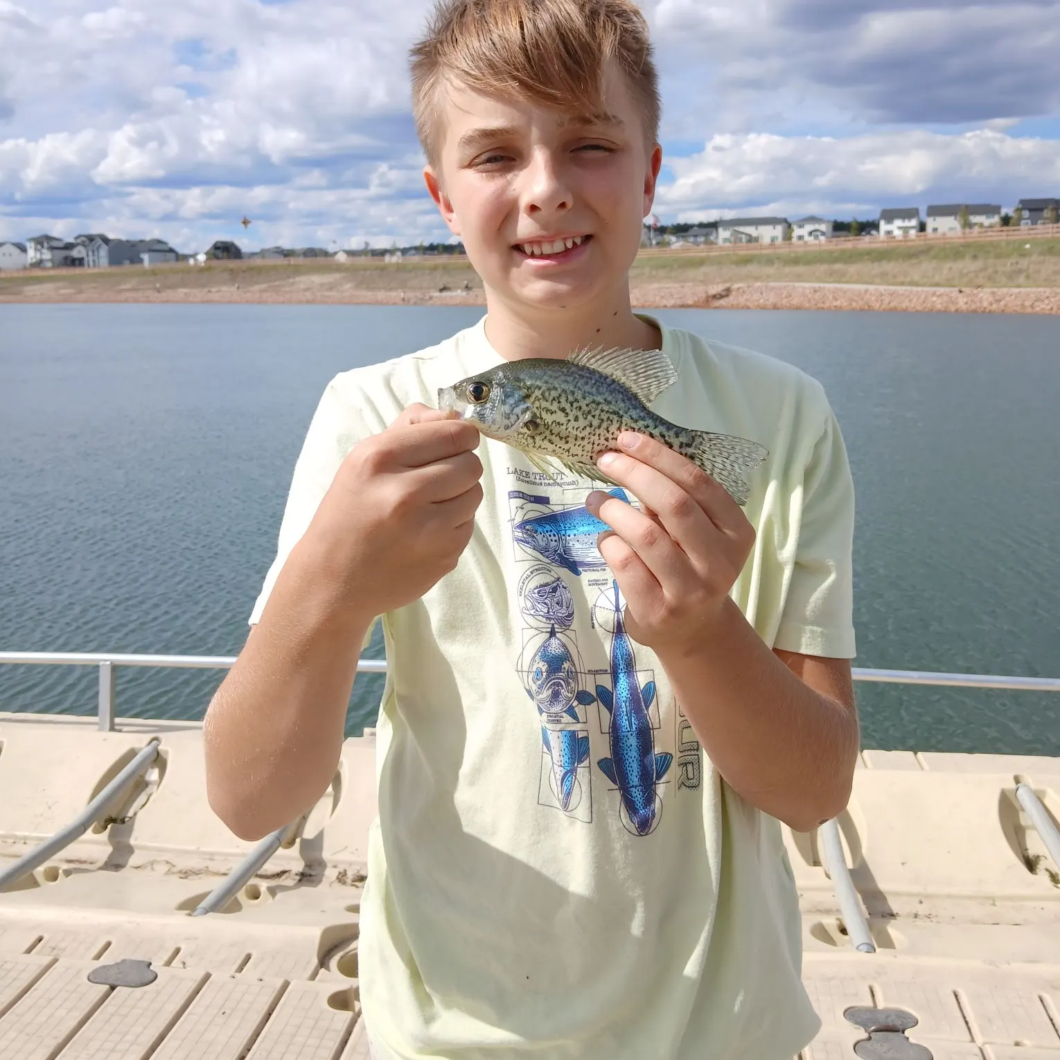 Black crappie caught on Fishbrain