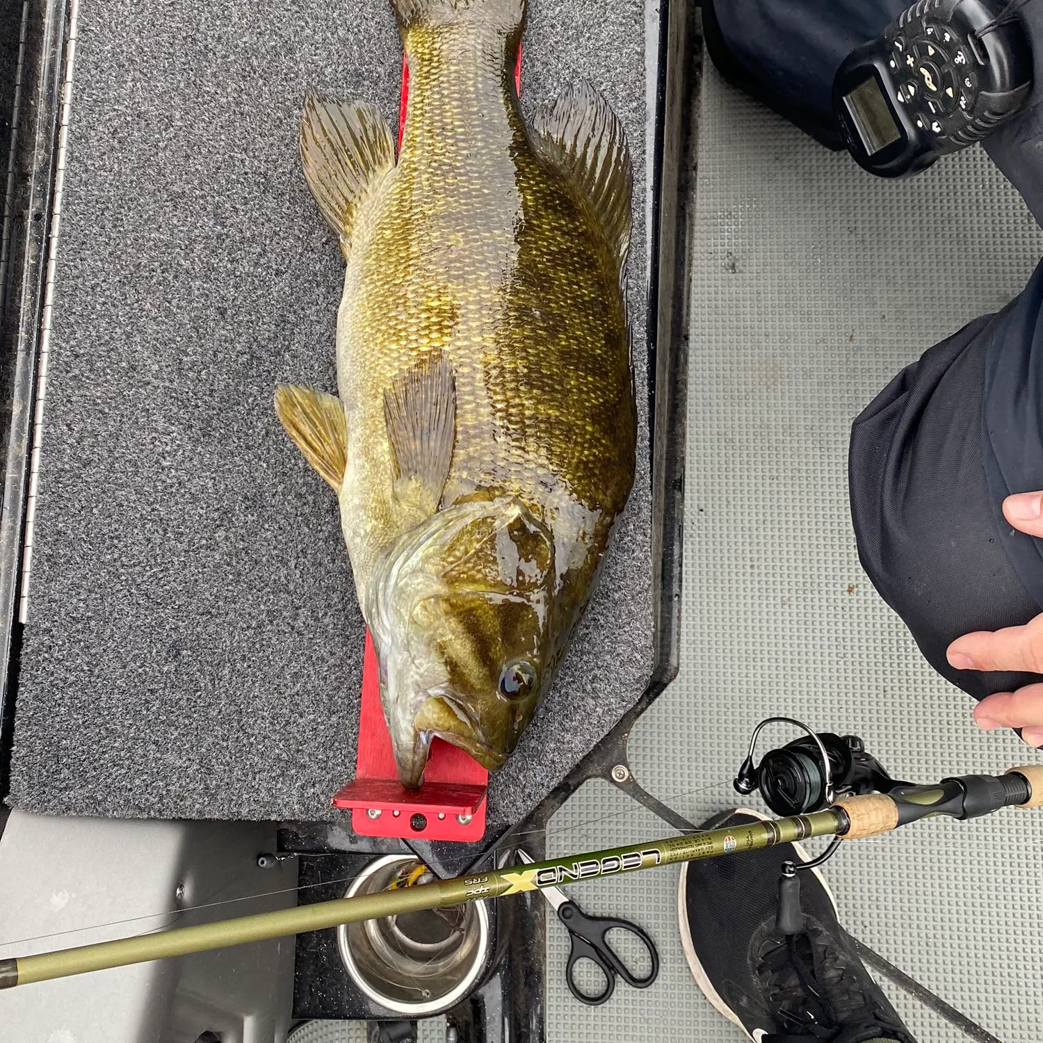 angler catch