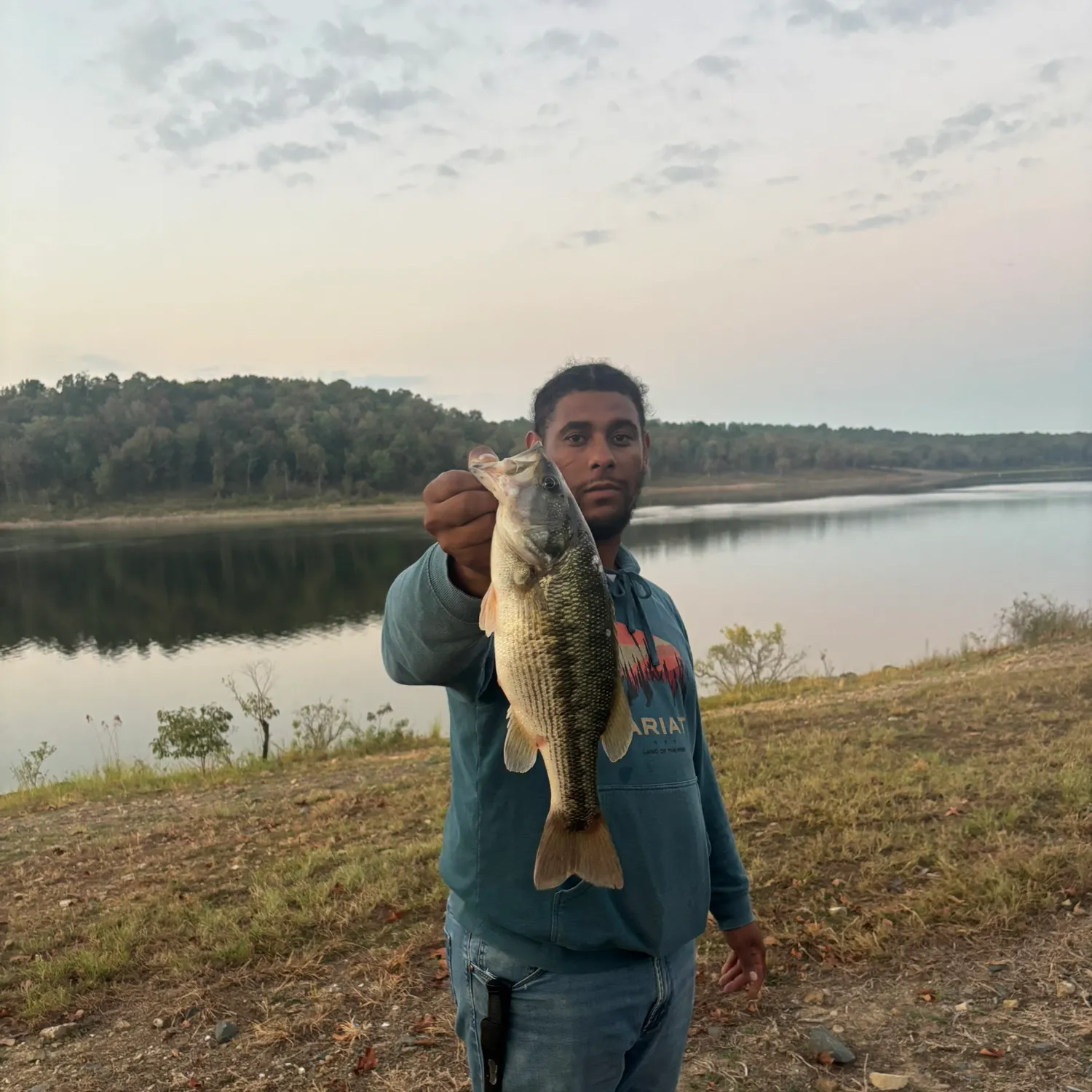 Spotted bass caught on Fishbrain