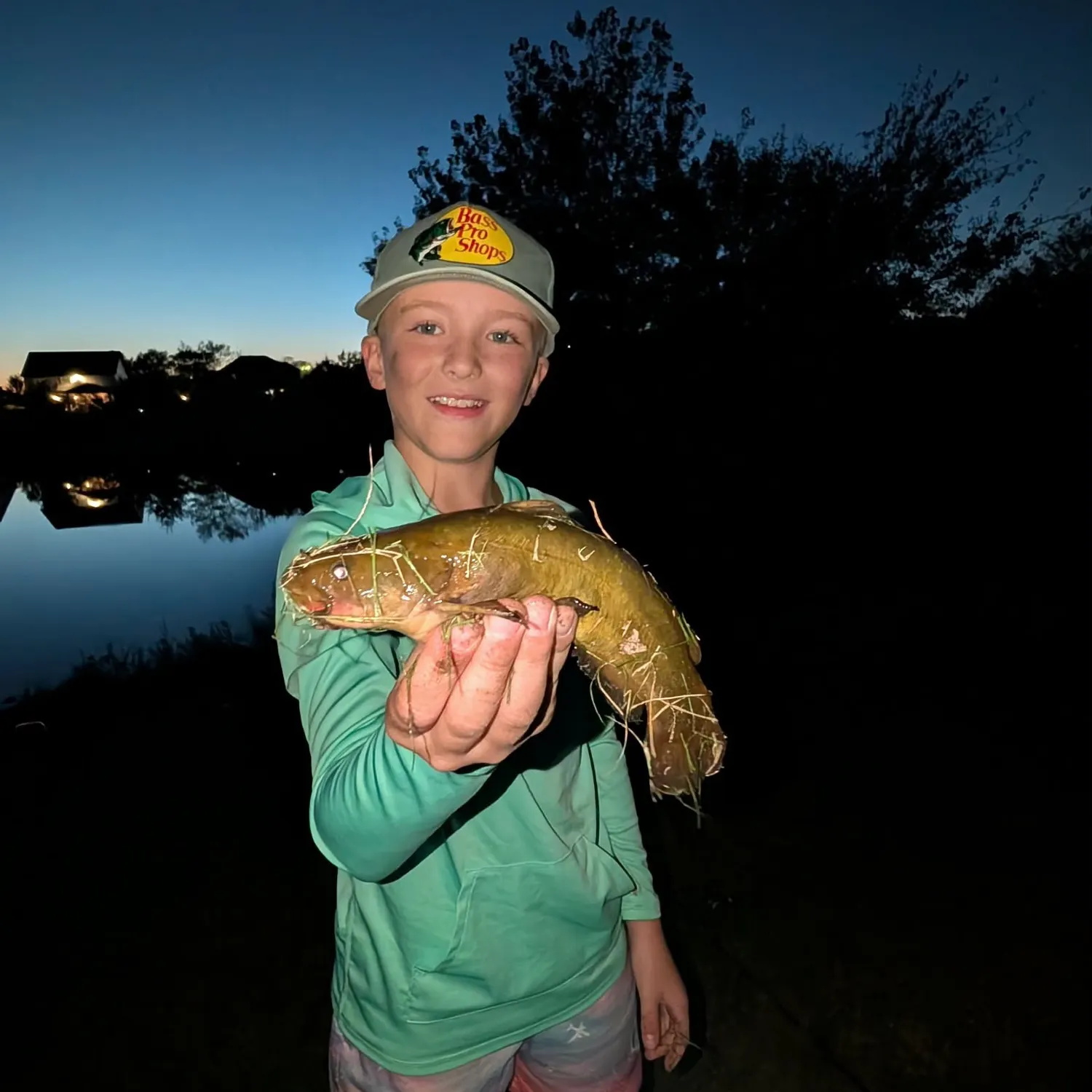 Yellow bullhead caught on Fishbrain
