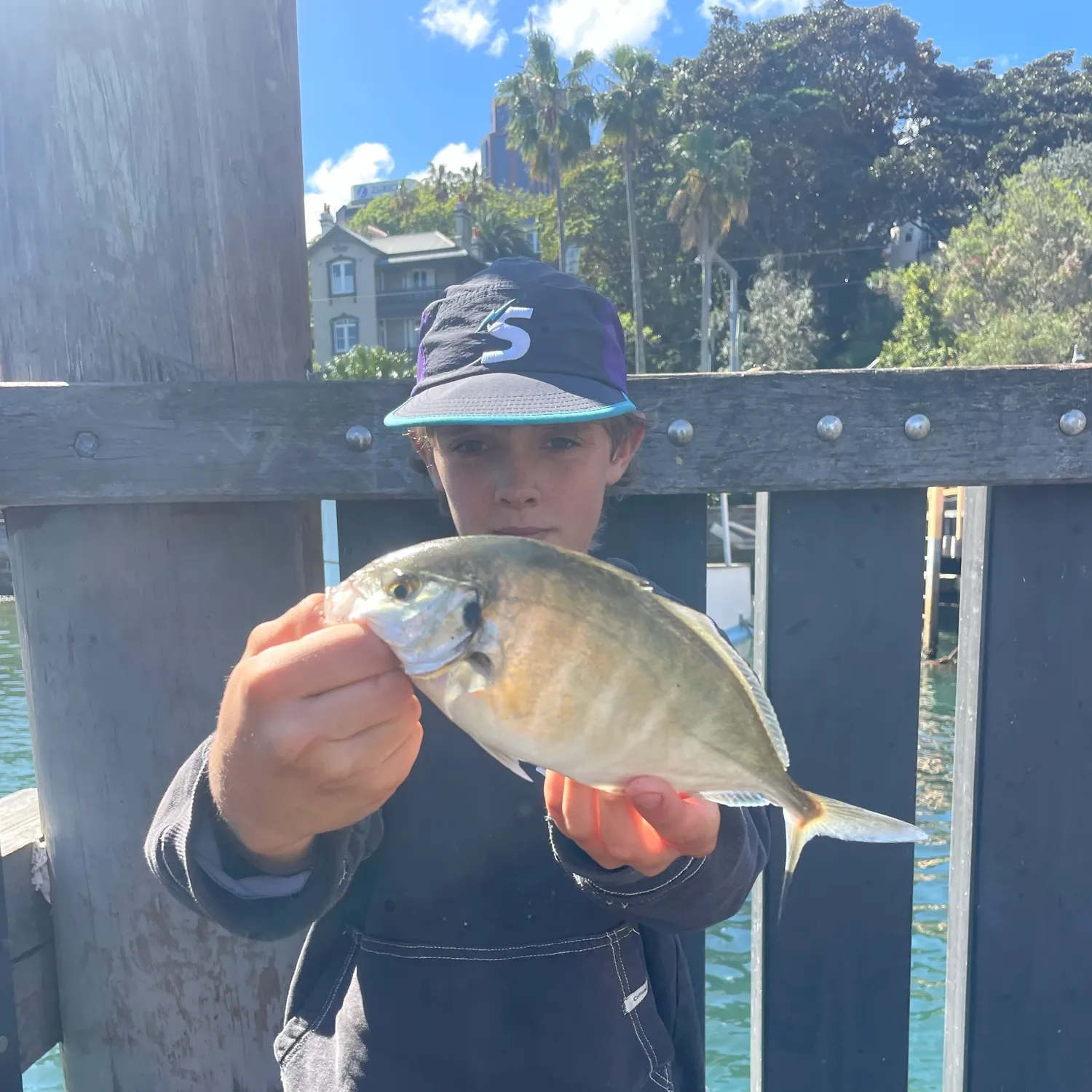 The most recent White trevally catches on Fishbrain