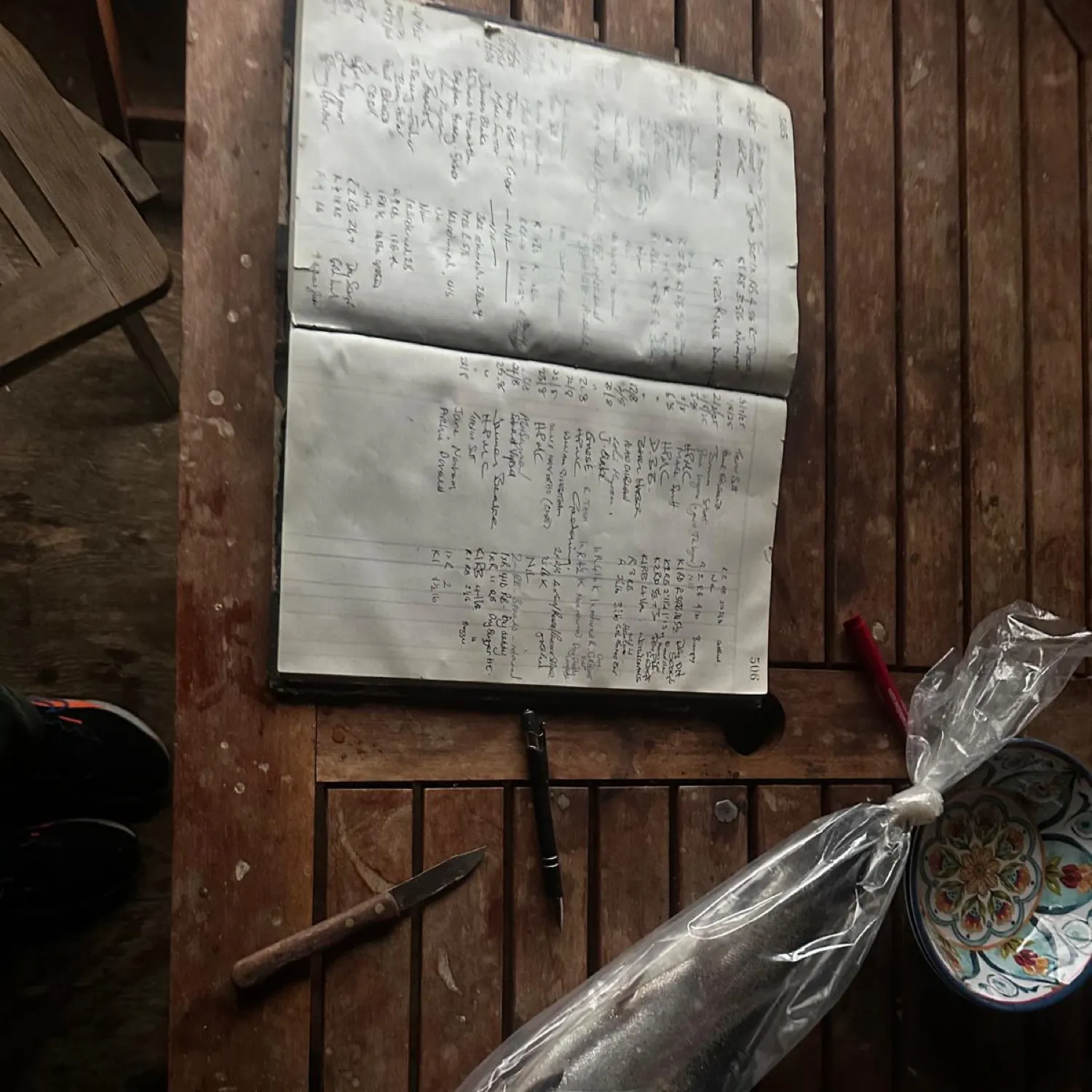 recently logged catches