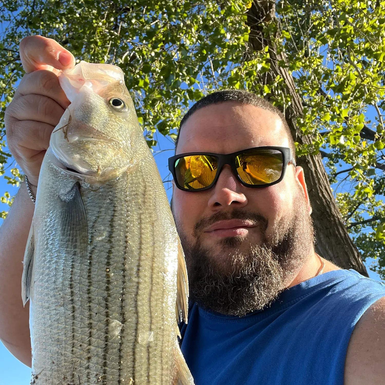 Wiper caught on Fishbrain