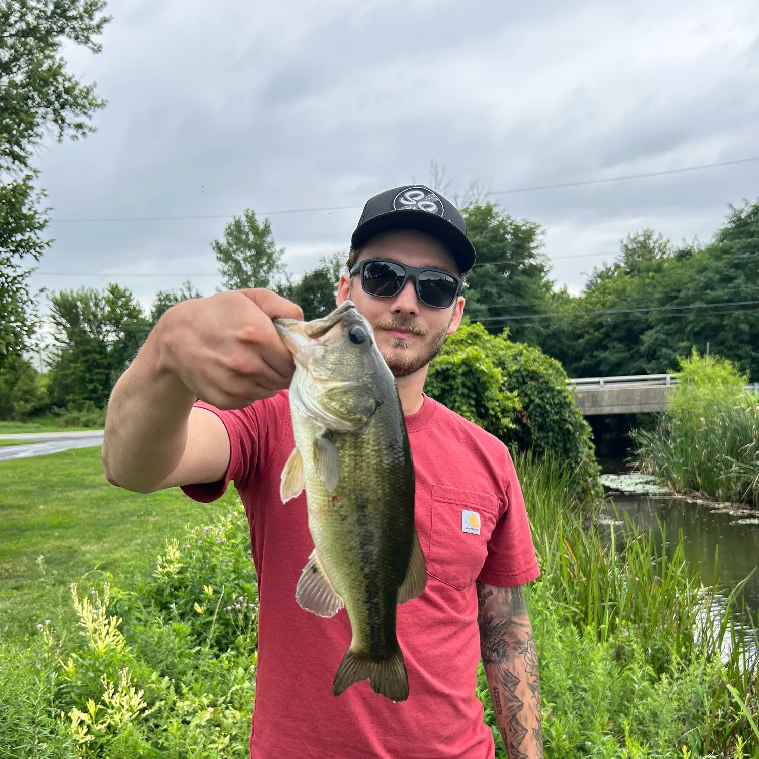 Largemouth bass caught on Fishbrain