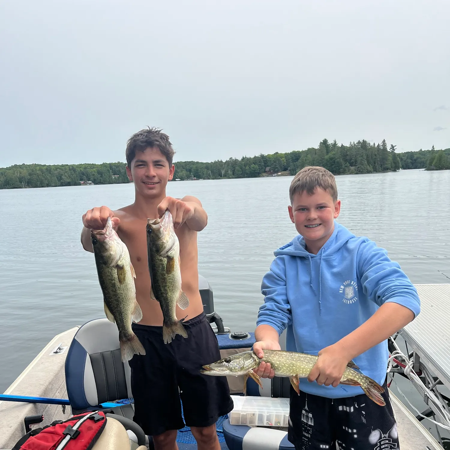 Northern pike caught on Fishbrain