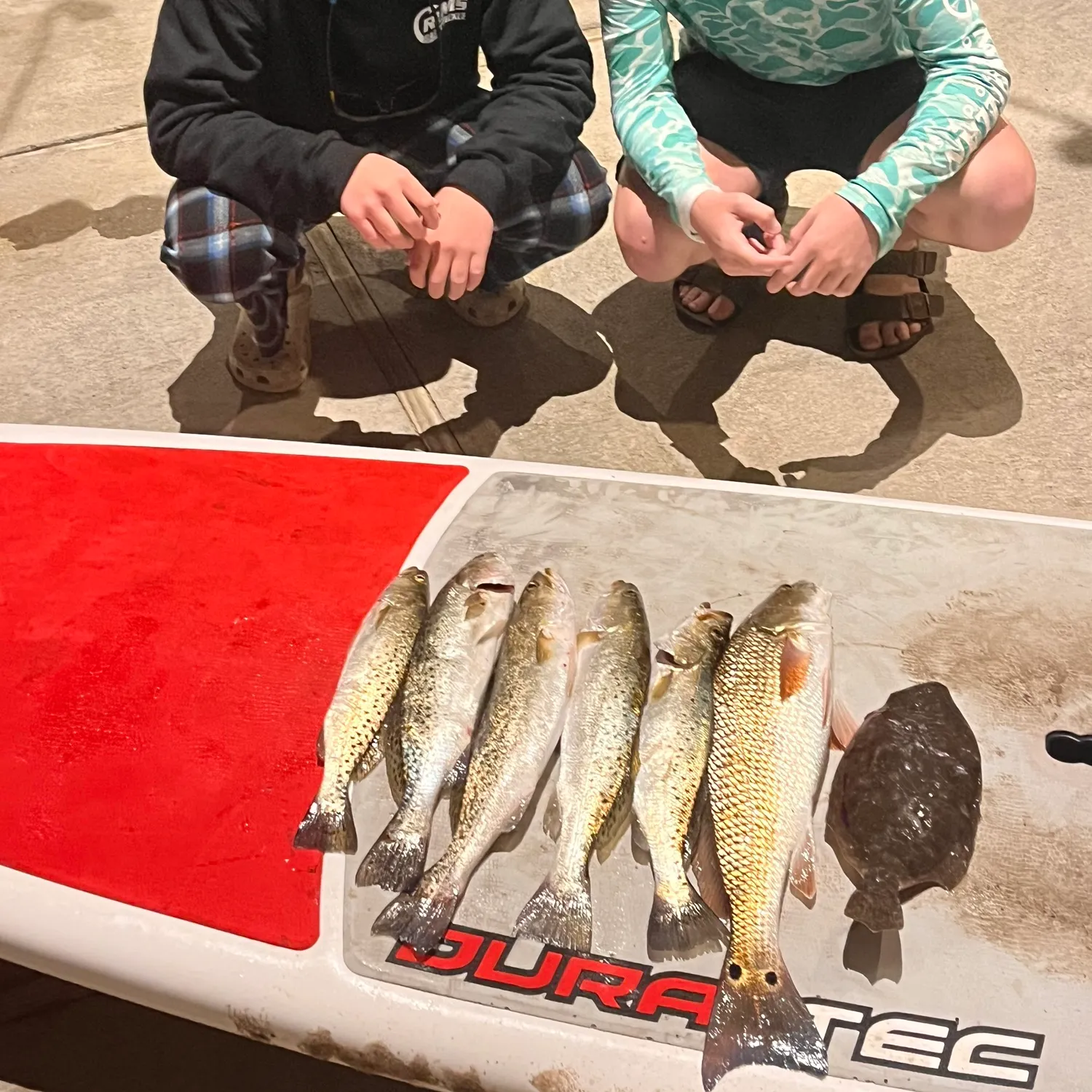 recently logged catches