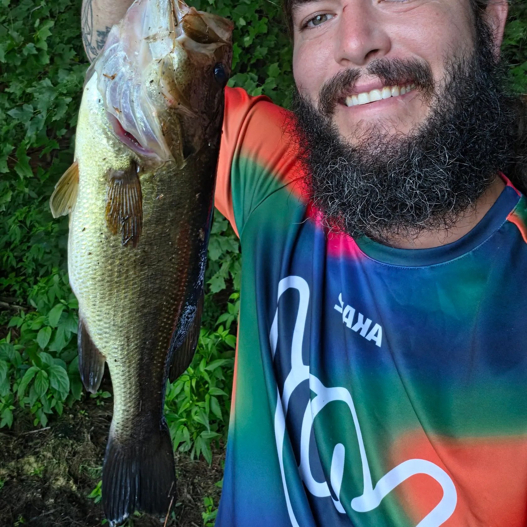 Largemouth bass caught on Fishbrain